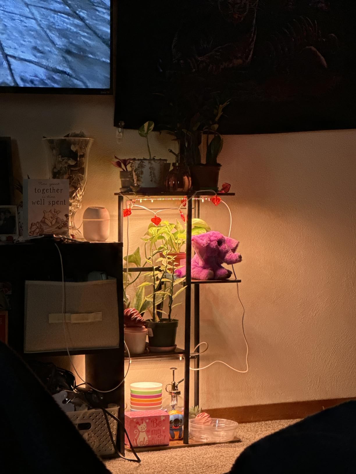 20W Ultra-Thin Panel Grow Lights for Indoor Plants, 132 LEDs High PPFD Full Spectrum, 6/12/16H Timer and Auto on/Off, Suitable All for Indoor Growing, Warm White customer photo 2