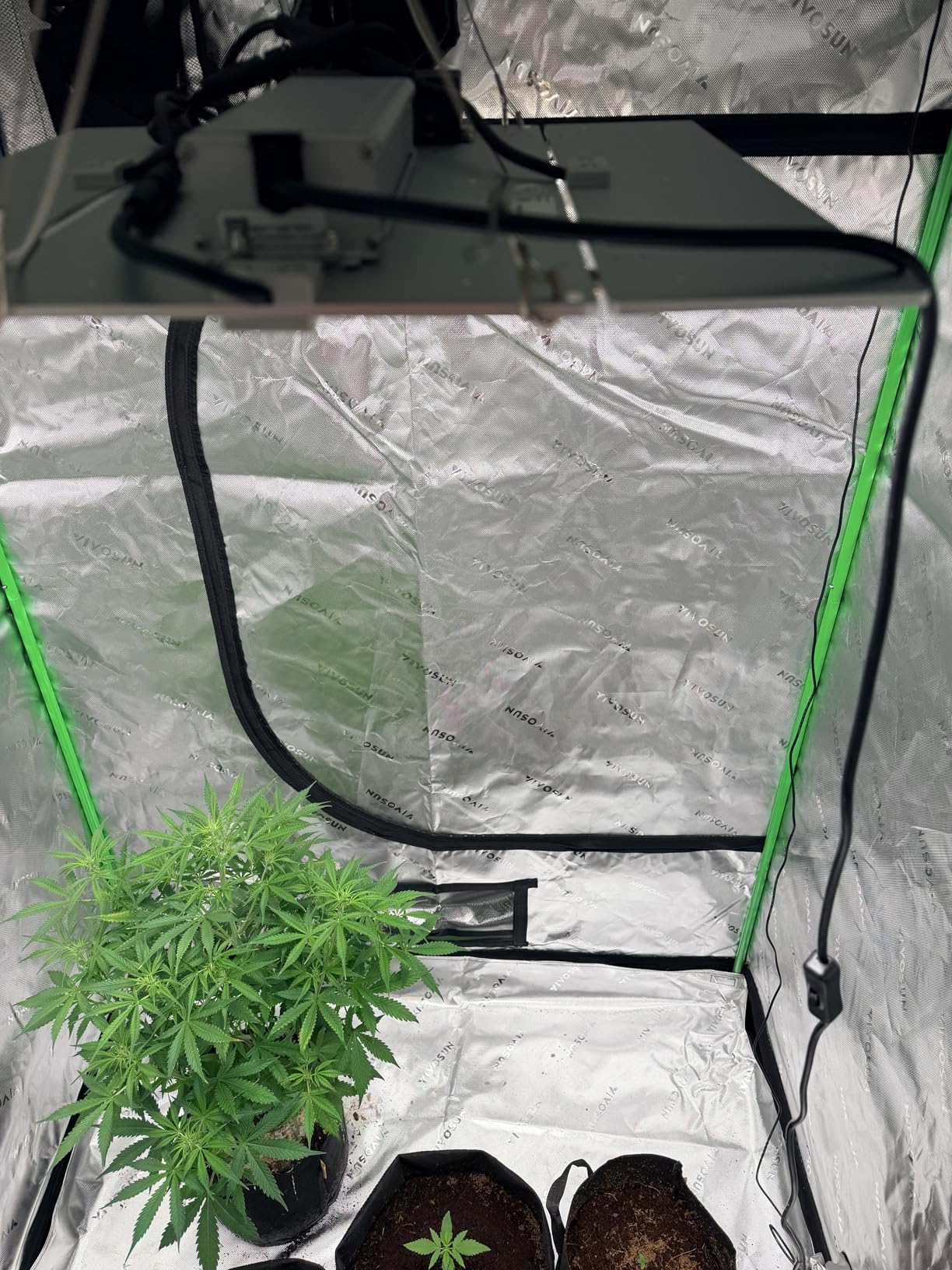 Barrina 4x4 Grow Light Panel, Full Spectrum, Dimmable, 200W, 1 Pack | Plug and Play, Adjustable, Barrina LED Plant Light, 816 LEDs, High PPFD, For Indoor Growing, Seedling, Flowering and Fruiting customer photo 2