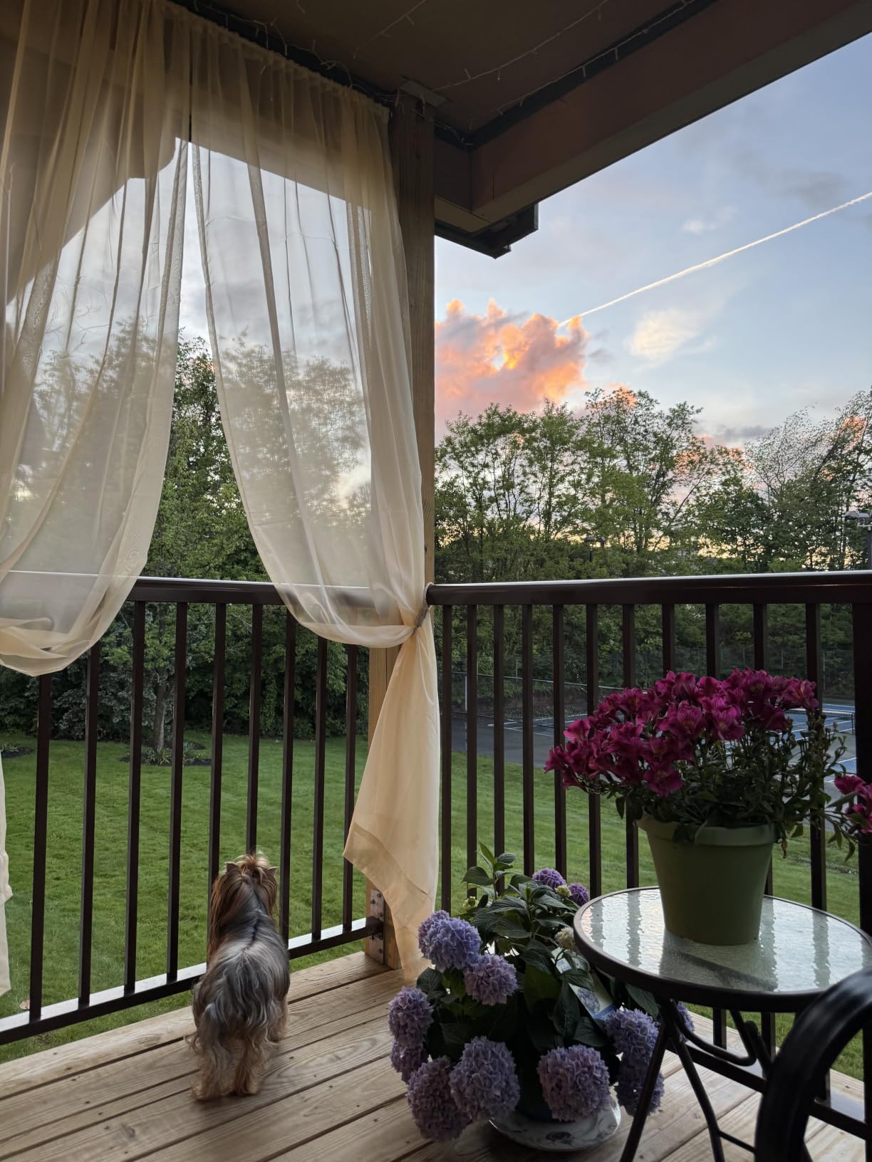 MIULEE White Waterproof Outdoor Sheer Curtains for Patio 54W x 84L | Voile sheer fabric, 2 panels, waterproof, privacy protection, rod pocket hanging, suitable for porch, pergola, cabana, gazebo customer photo 2