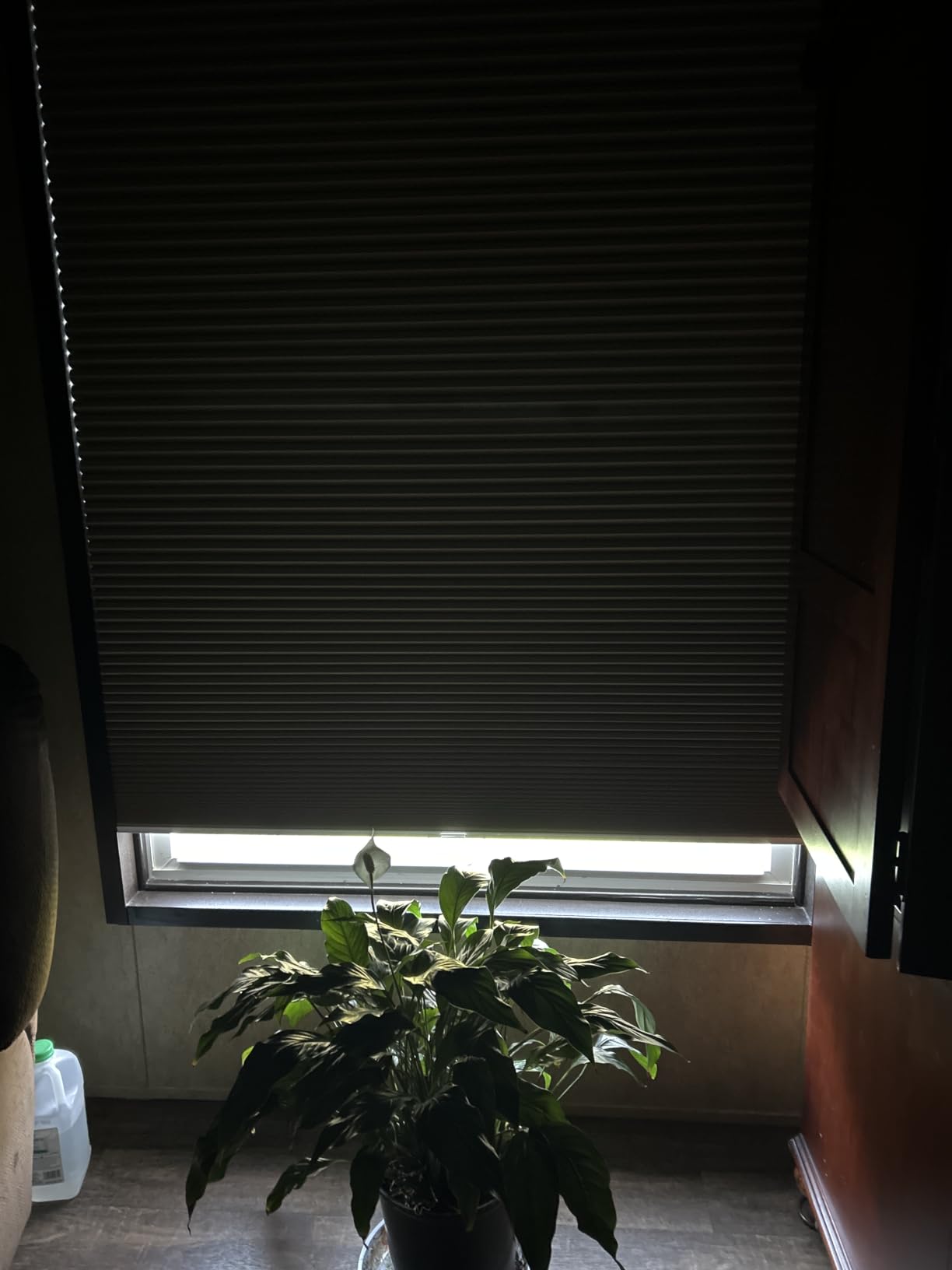 Changshade Cordless Cellular Shades,Blackout Honeycomb Shades for Windows,Pull Down Pleated Blinds,Easy to Install for Indoor Windows and French Doors,White(Blackout),34