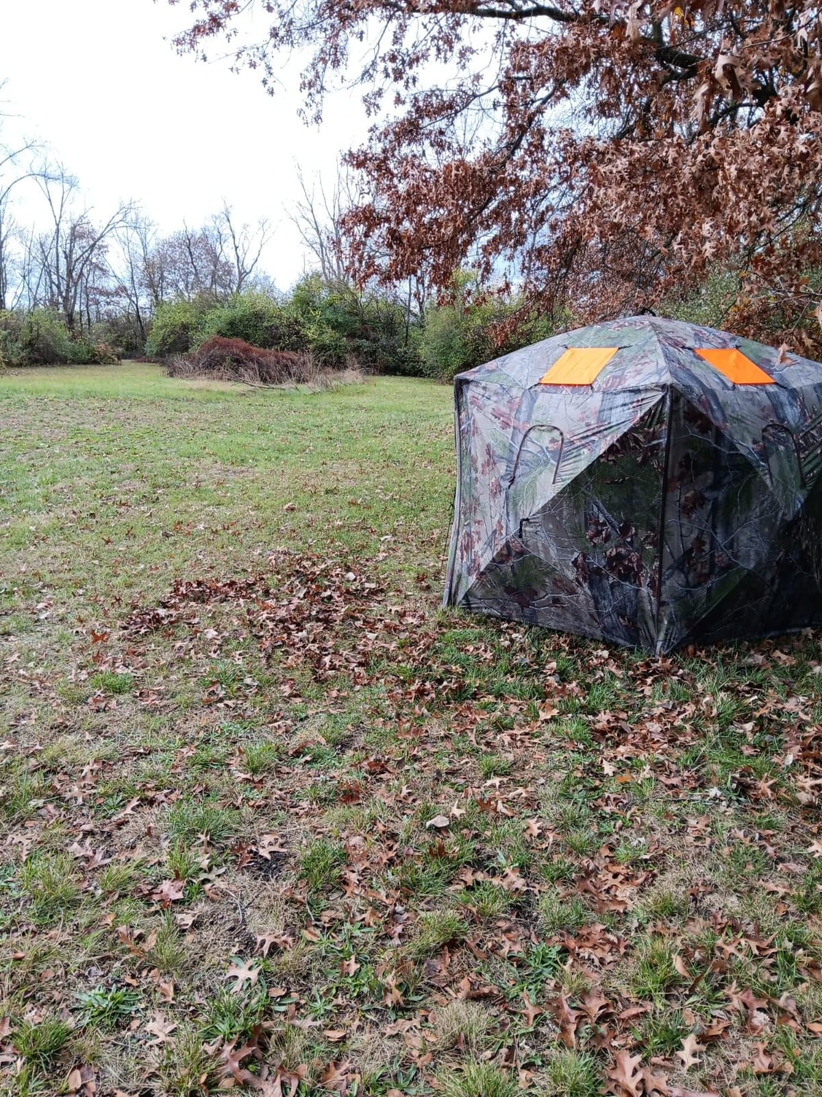 Barronett Blinds Feather Five, Portable Hunting Blind, Huge Interior, Lightweight, 4-Person, Bloodtrail Backwoods, 72 x 84 x 84, FF500BW customer photo 1