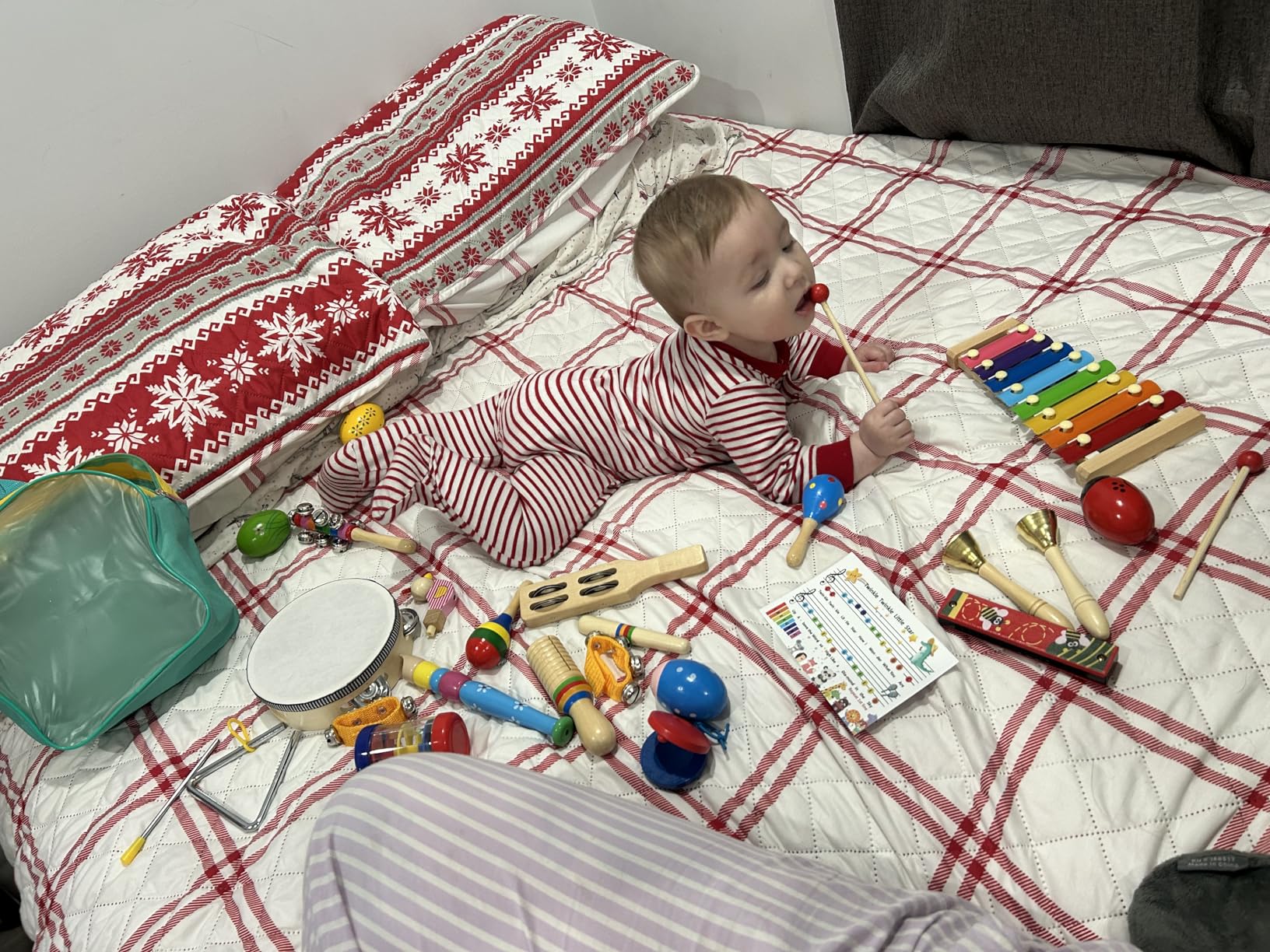 LOOIKOOS Toddler Musical Instruments, Wooden Percussion Instruments Toy for Kids Preschool Educational Musical Toys Set for Boys and Girls with Storage Bag customer photo 1