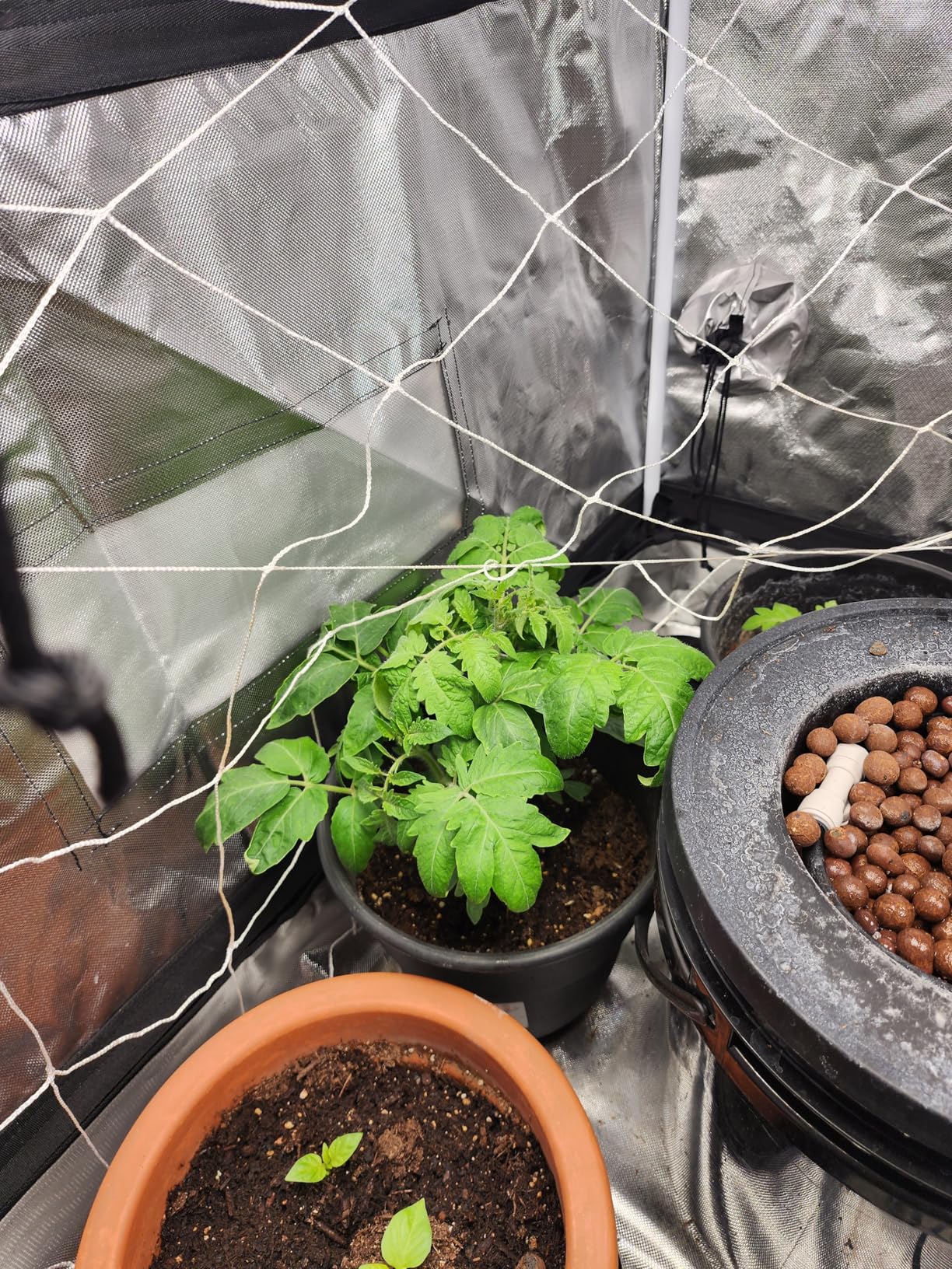 VIVOSUN DWC Hydroponics Grow System with Top Drip Kit, 5-Gallon Deep Water Culture, Recirculating Drip Garden System with Multi-Purpose Air Hose, Air Pump, and Air Stone (4 Buckets + Top Drip Kit) customer photo 1