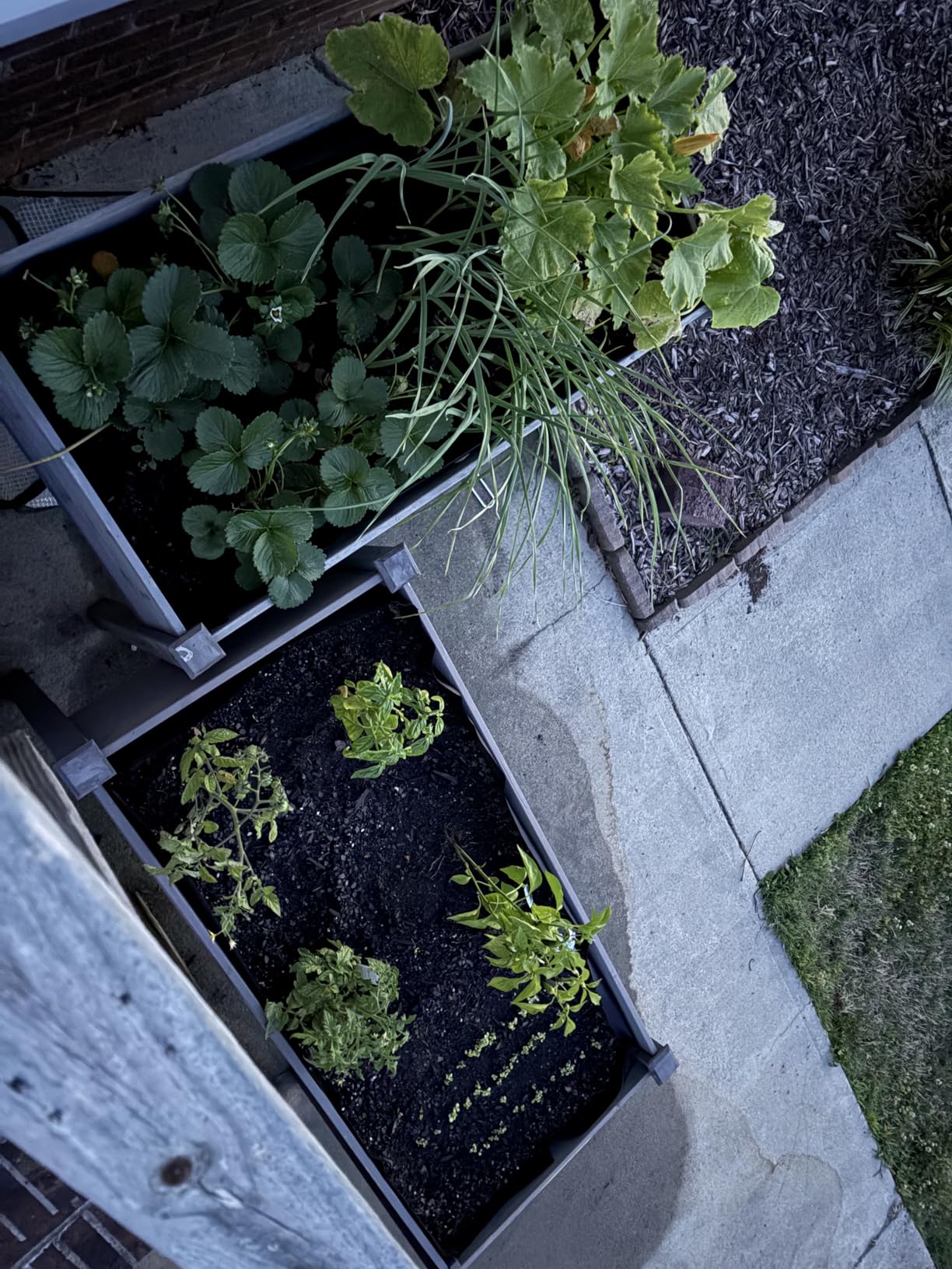 SoliWood Raised Garden Bed with Legs, 48x24x30'', Outdoor Wood Elevated Planter Box, Grey Cedar, Thick Legs, w/Liner customer photo 2