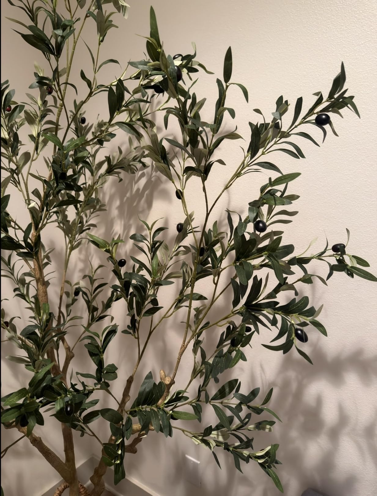 6ft Olive Trees Artificial Indoor with Realistic Appearance | Tall Faux Olive Tree with Natural Trunk, Lifelike Leaves, Sturdy Base - Fake Olive Trees for Modern Home Office Decor customer photo 2