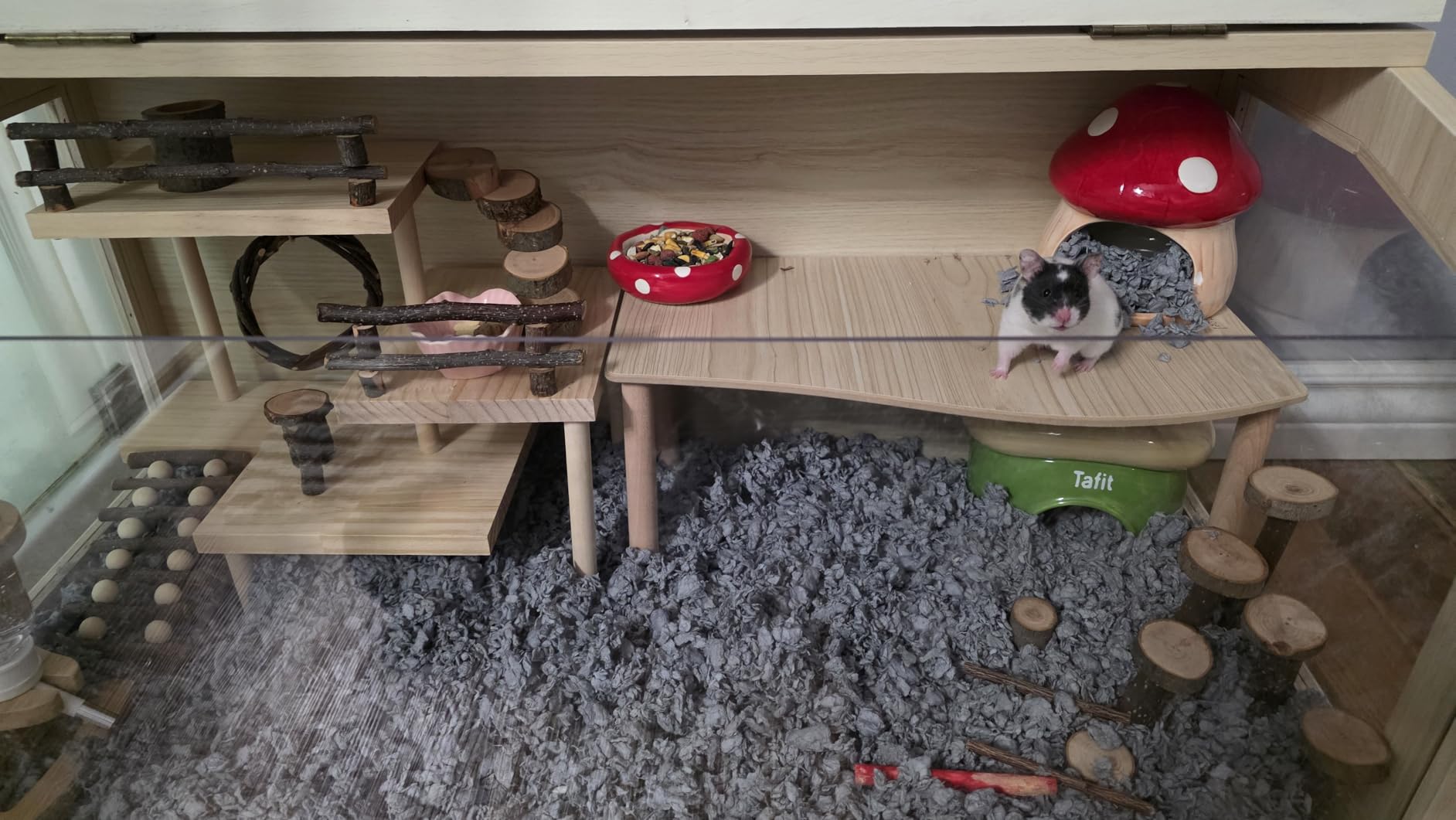 Hamster Cage Chewproof, Large Hamster Cages and Habitats, Openable Top with Acrylic Sheets, Solid Built customer photo 2
