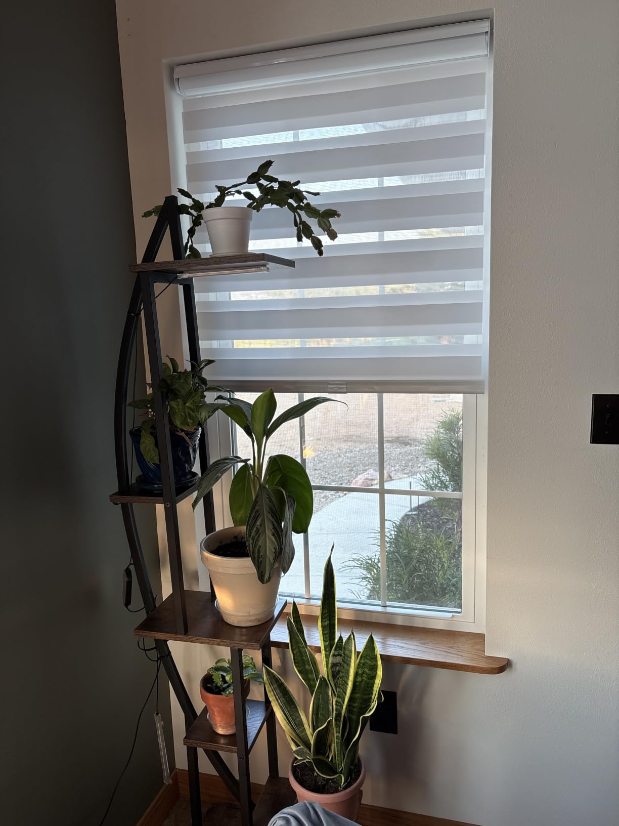 Persilux Cordless Zebra Roller Window Shades Free-Stop Roller Blinds (46