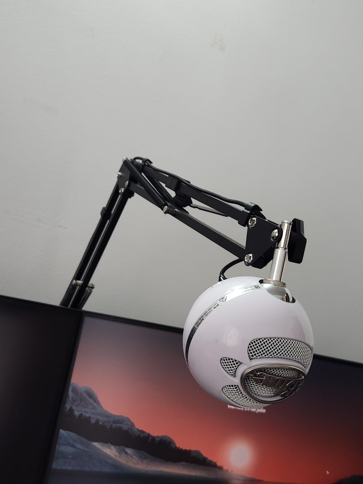 CACENCAN Boom Arm, 360° Rotatable Microphone Stand with Desk Mount, Foldable Desk Mic Arm with 3/8'' to 5/8'' Screw Adapter, Microphone Arm for Live Streaming, Gaming, Podcasting customer photo 2