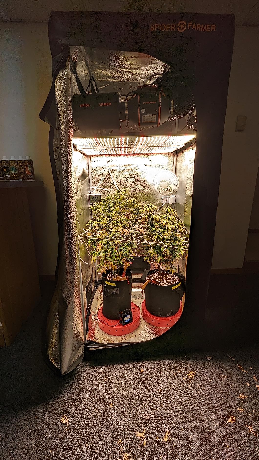 Spider Farmer SF2000 PRO LED Grow Lights for Indoor Plants in 3x3 Grow Tent | 200W Dimmable Full Spectrum Grow Light, New-Gen High-Efficiency Diodes 2.7 PPE System for Seed Starting, Vegetables & Bloom customer photo 2