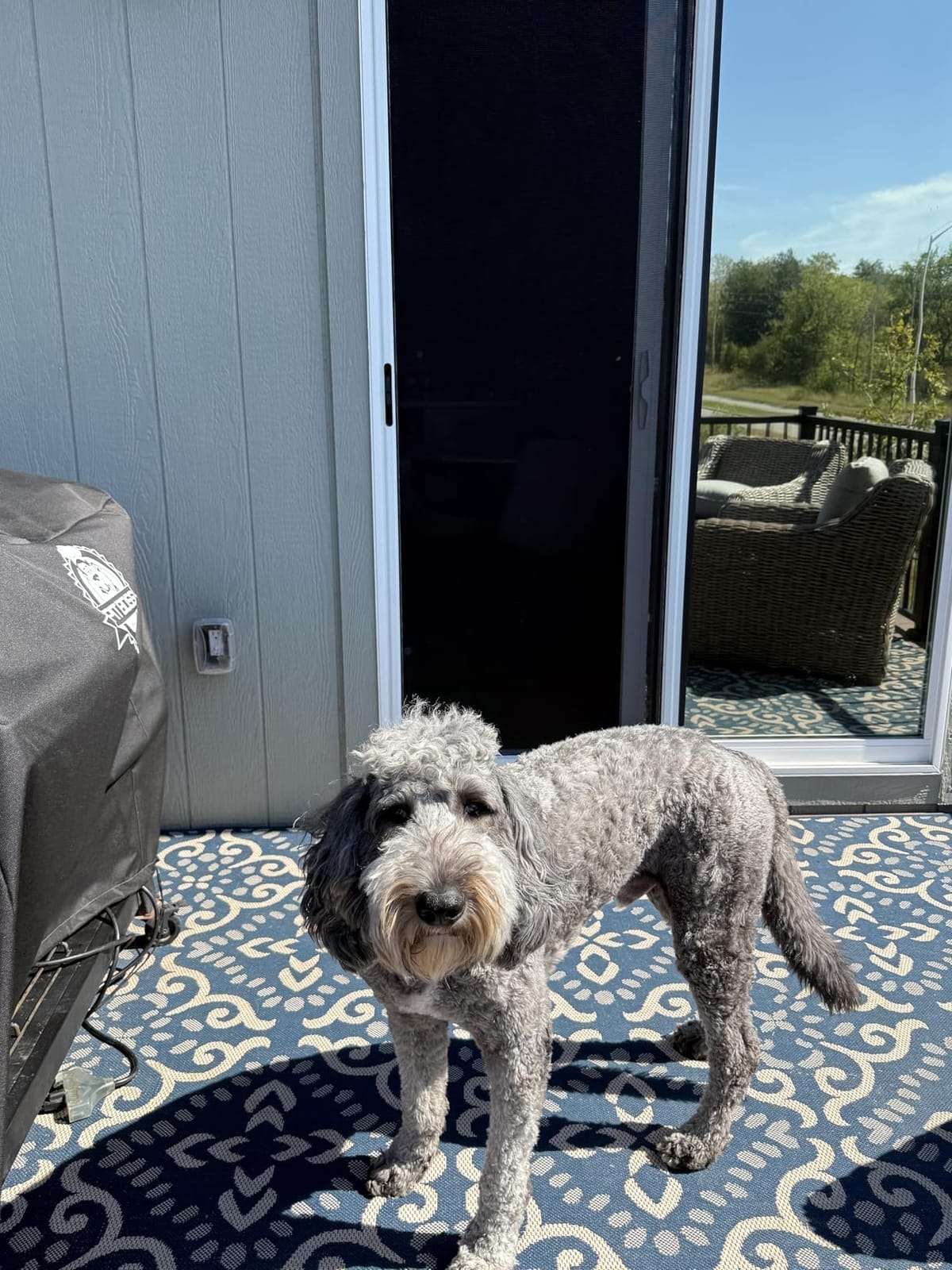 Custom Size Sliding Patio Screen Door Kit - Made to Order Aluminum Frame, Assembly Required, Locking Handle, 5 Color Options, Optional PetScreen Mesh customer photo 2