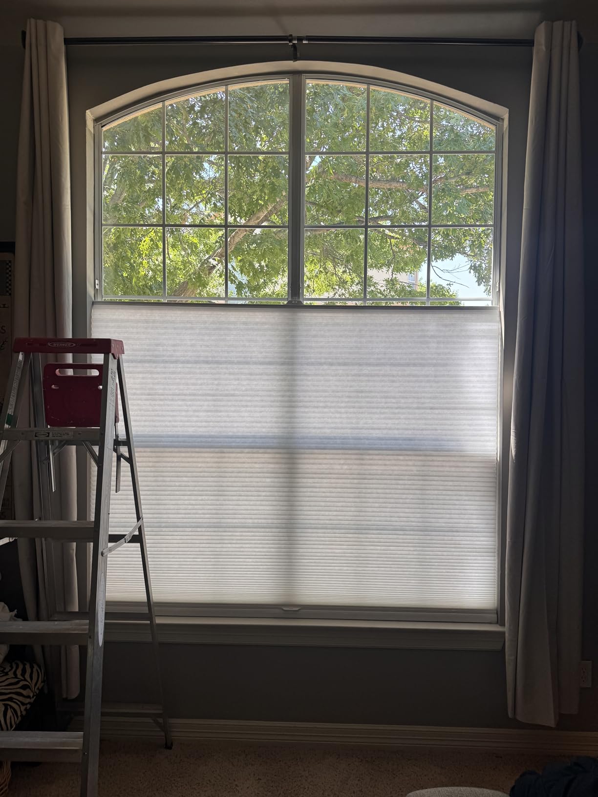 Persilux Custom Size Cellular Shades Top Down Bottom Up Cordless Light Filtering Honeycomb Blinds Thermal UV Protection Energy Saving Pleated Window Shades for Indoor Windows Easy to Install White customer photo 1