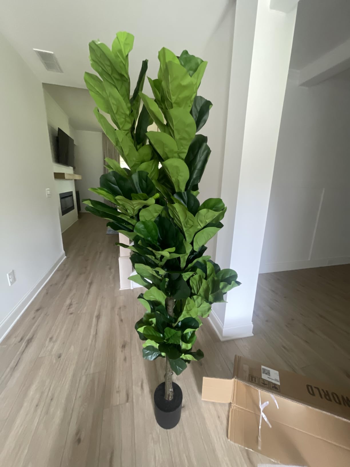 FLOWERLD Fiddle Leaf Fig Tree 6ft Tall Artificial Tree in Plastic Pot Fake Ficus Lyrata Plants with 184 Decorative Fiddle Leaves Faux Fig Trees for Home Office Living Room Decor Indoor Outdoor customer photo 1