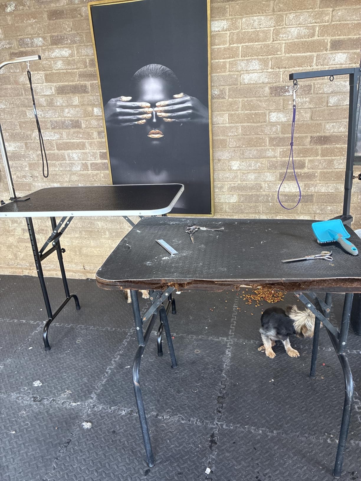 LEIBOU 36-inch Height Adjustable(23''~33.8'') and Foldable Pet Dog Grooming Table with Grooming Arm & 2 Noose for Dog Cat Pet Grooming Maximum Capacity Up to 260lbs customer photo 1