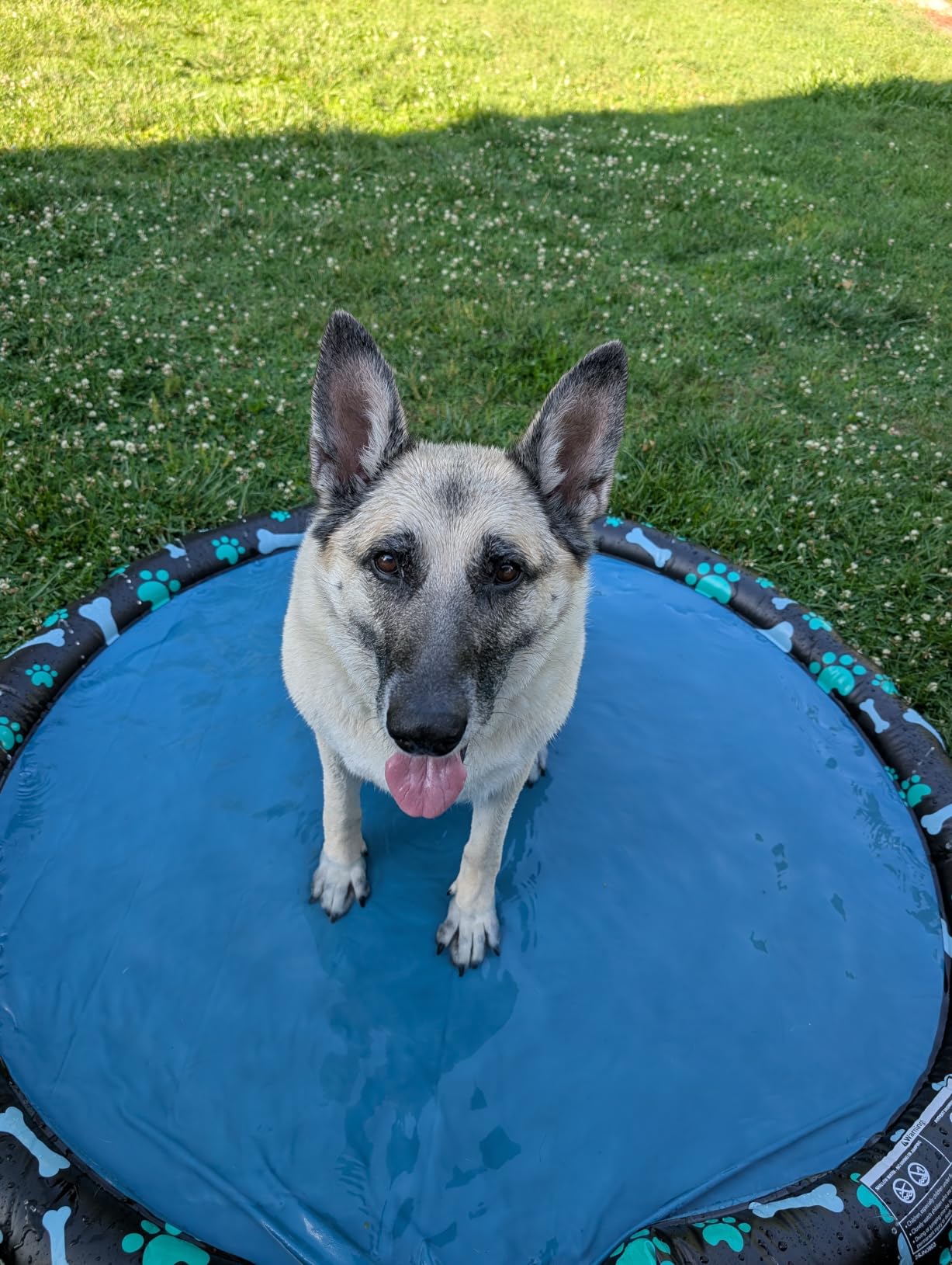 SplashEZ Non Slip Splash Pad for Kids & Dogs, 69'' Extra Large Splash Pad Sprinkler for Kids, Dog Water Summer Toys - Great Outdoor Toys for Toddlers 1-3 & Children Ages 4-8, Baby Pool for Backyard customer photo 1