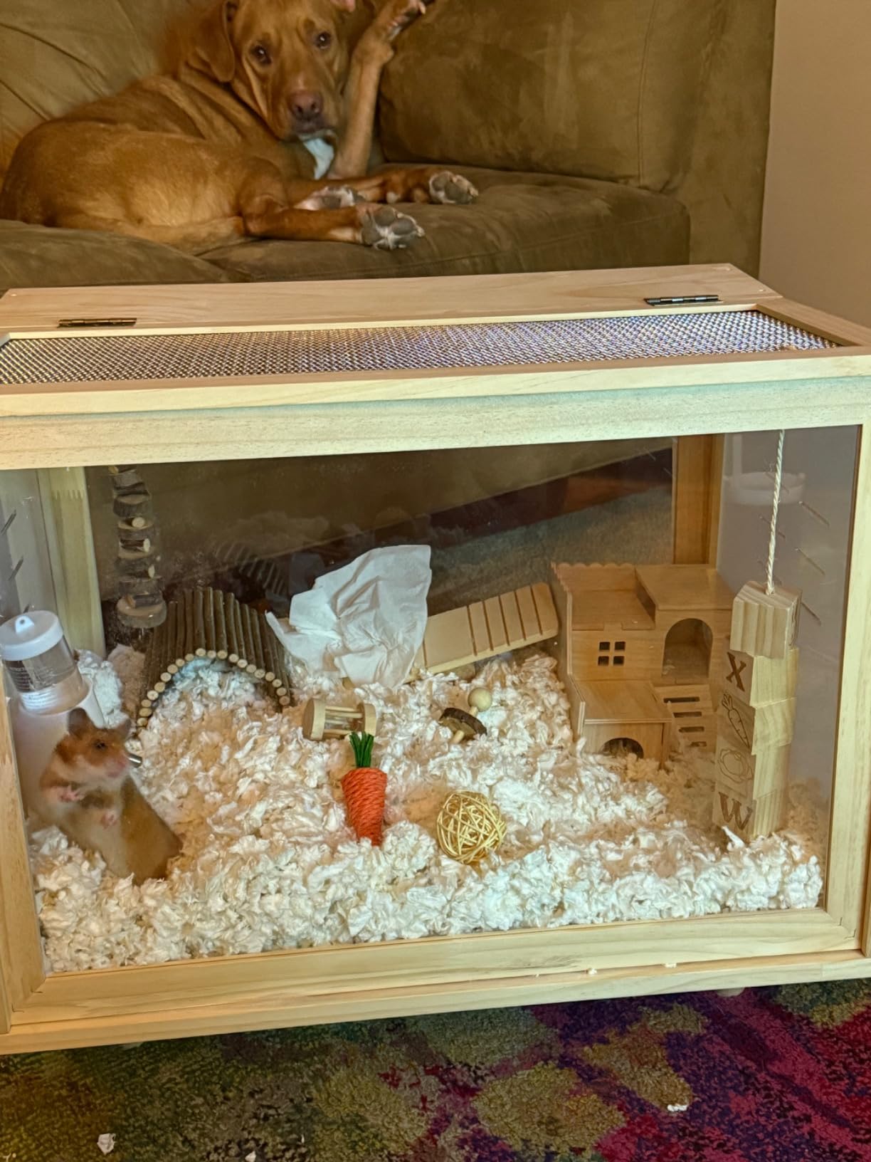 Large Hamster Cages - Wooden Hamster Mice and Rat Habitat with Ventilator Small Animal Cages for Rabbits, Guinea Pigs with Waterproof Bottom Plate customer photo 1