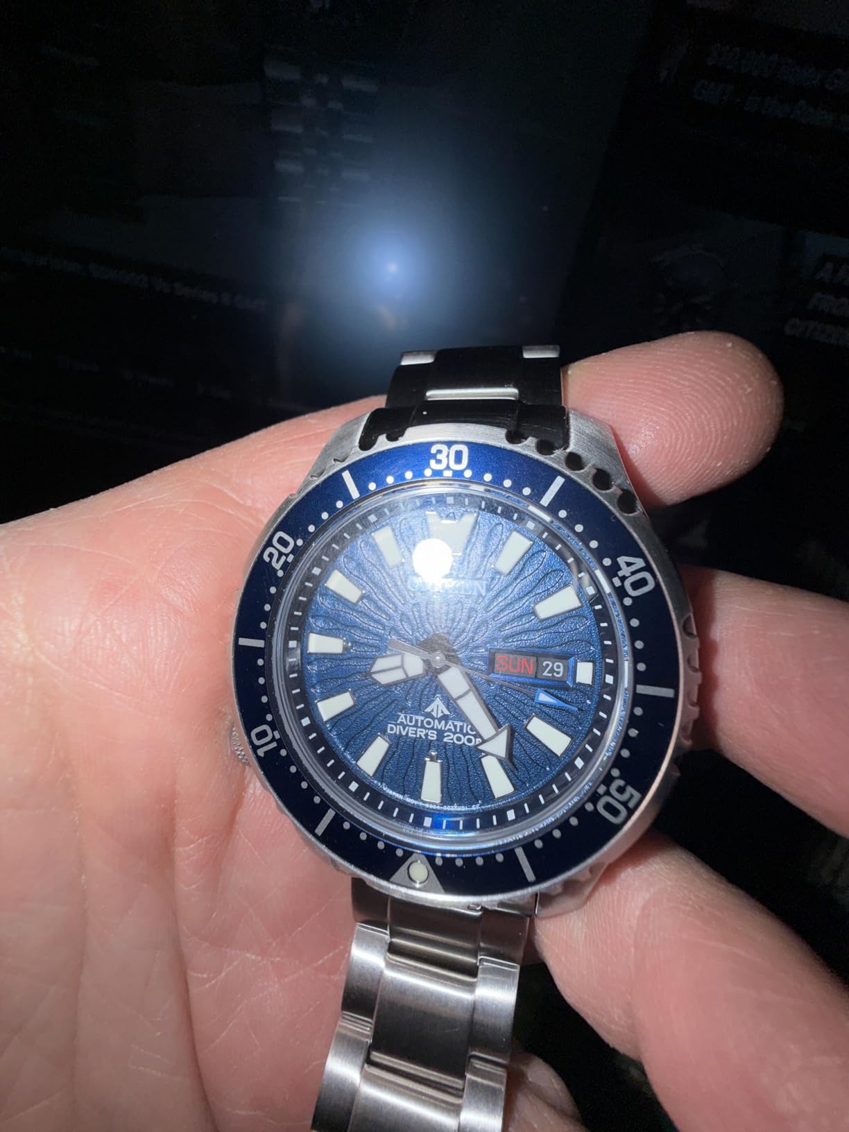 Citizen Men's Promaster Dive Fugu customer photo 2