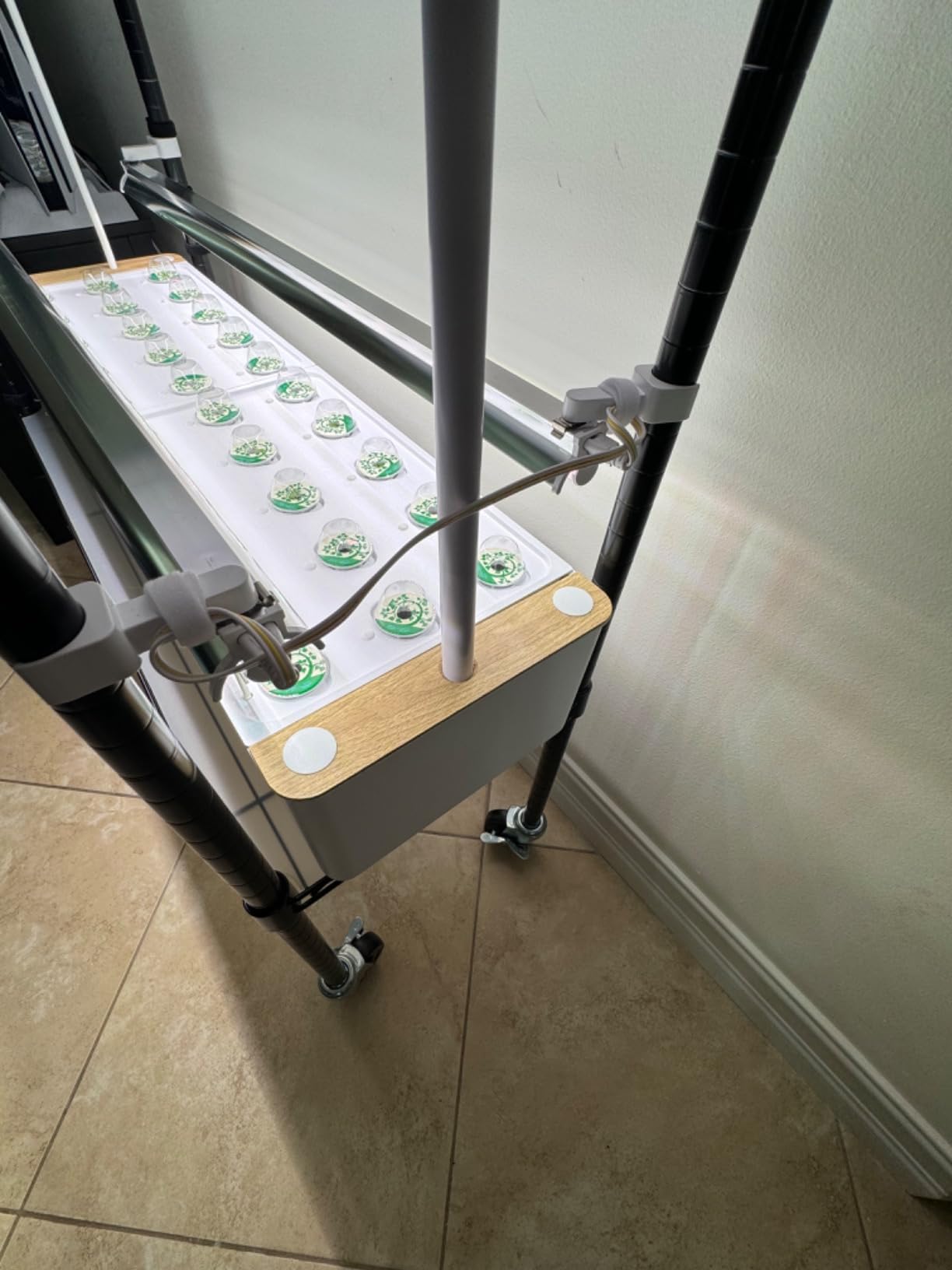 Ahopegarden Indoor Garden Hydroponics Growing System Kit: 60 Pods Indoor Herb Garden with LED Grow Light - Plant Germination Kit, 32L Large Capacity Hydroponic Tower for Vegetables Fruits Flowers customer photo 1