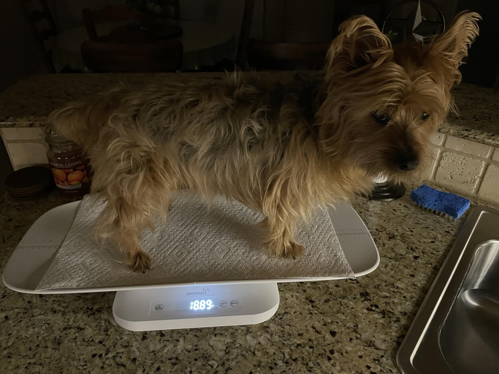 GROWNSY Digital Baby Scale & Pet Scale Up to 330 lbs, White | Accurate Weighing, 330 lb Capacity, Hold Function, 27