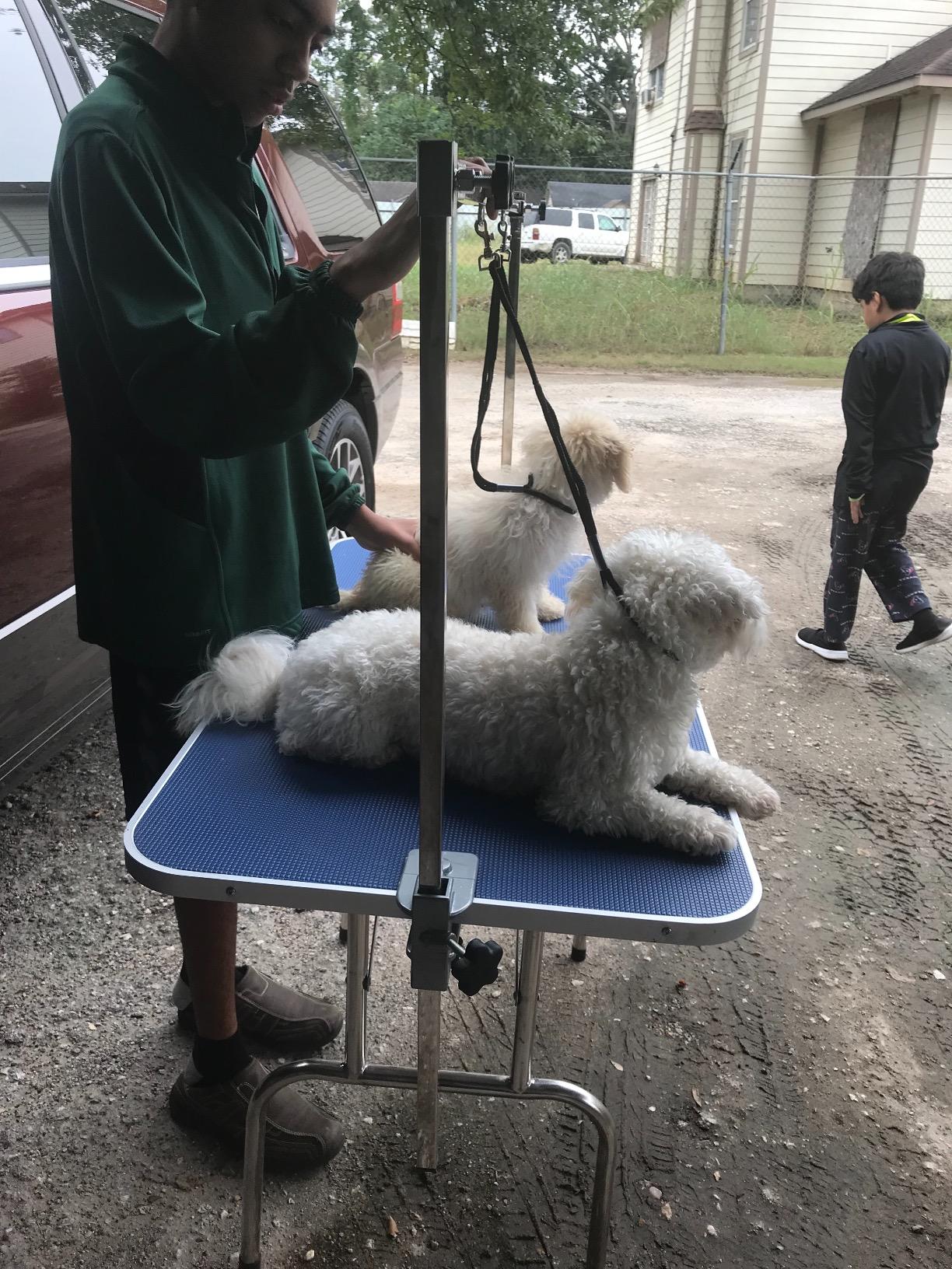 Bonnlo 42.5 inch Hydraulic Dog Grooming Table, Professional Heavy Duty Grooming Table for Dogs, Trimming Table Drying Table w/Arm/Noose customer photo 1