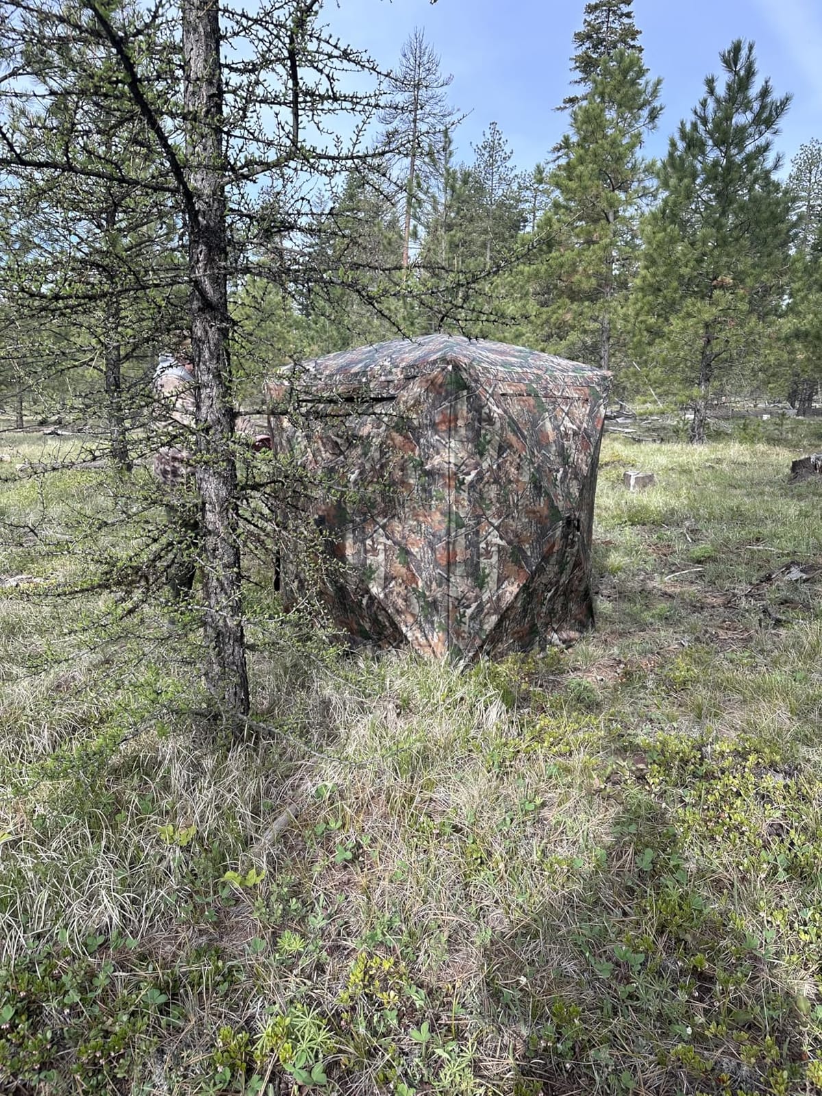 Lenotos Hunting Blind, 2 Person Pop Up Blinds 360 Degree See Through, Portable Durable Hunting Ground Blinds for Deer & Turkey Hunting customer photo 1