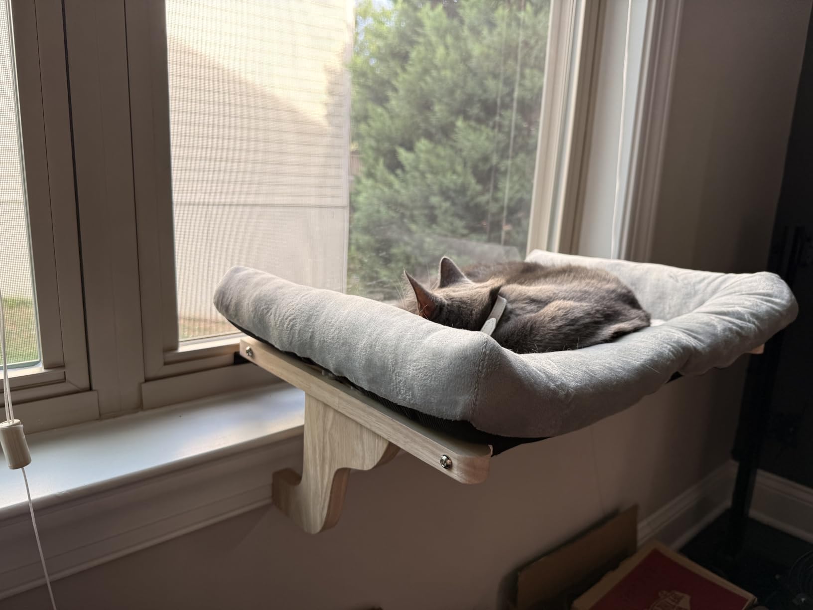 Zakkart Cat Perch for Window Sill with Bolster - Orthopedic Hammock Design with Premium Hardwood & Robust Metal Frame - Cat Window Seat for Large Cats and Kittens - Natural Color Wood Gray Bed, 24''W customer photo 1