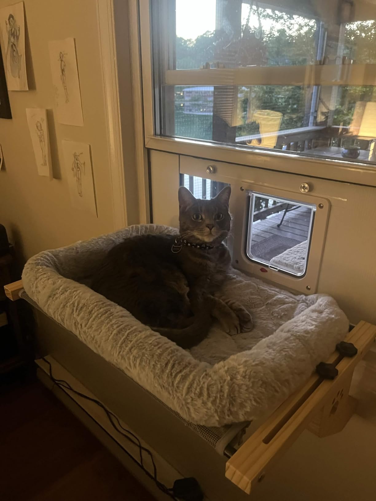 AMOSIJOY Cat Sill Window Perch Sturdy Hammock Window Seat with Cushion Bed Cover, Wood & Metal Frame for Large Cats, Easy to Adjust Cat Bed for Windowsill, Bedside, Drawer and Cabinet(Cushion Bed) customer photo 1