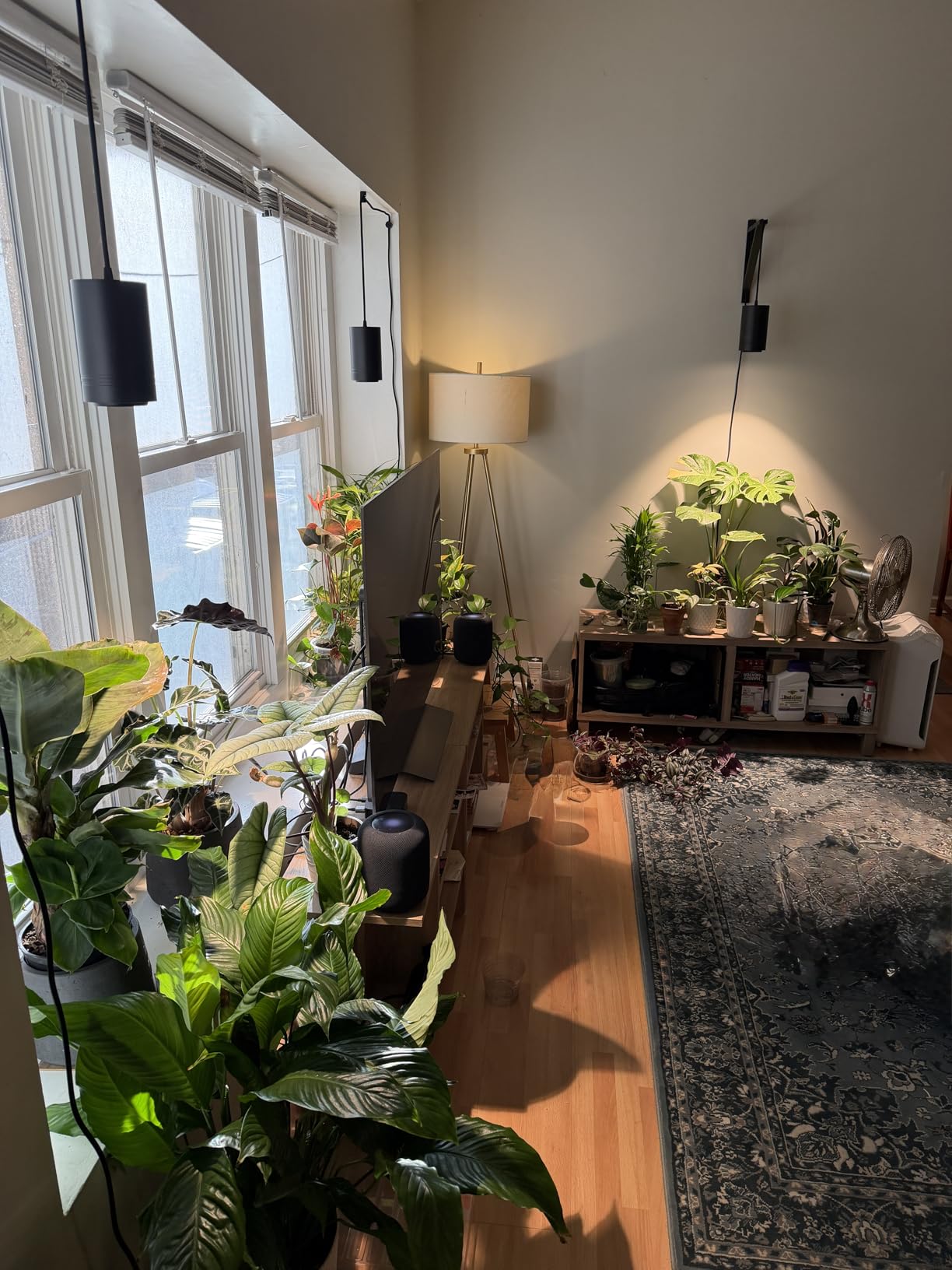 LBW Hanging Grow Light 40W Large, Full Spectrum Warm White Color, with Timer, Plug-in Pendant Grow Lights with 15FT Fabric Power Cord, Decorative Light for Indoor Plants, Flowers customer photo 2