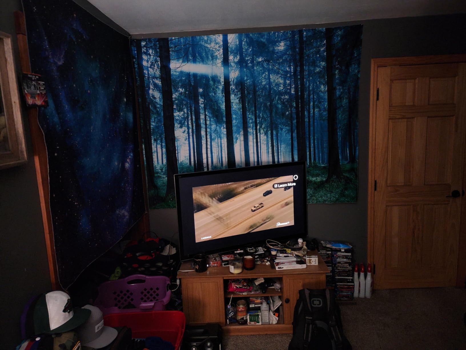 Lunerfex Tyndall Effect Forest Nature Tapestry, Sunlight Streaming Through Trees Wall Hanging for Bedroom and Living Room Decor, 36x48 Inches customer photo 2
