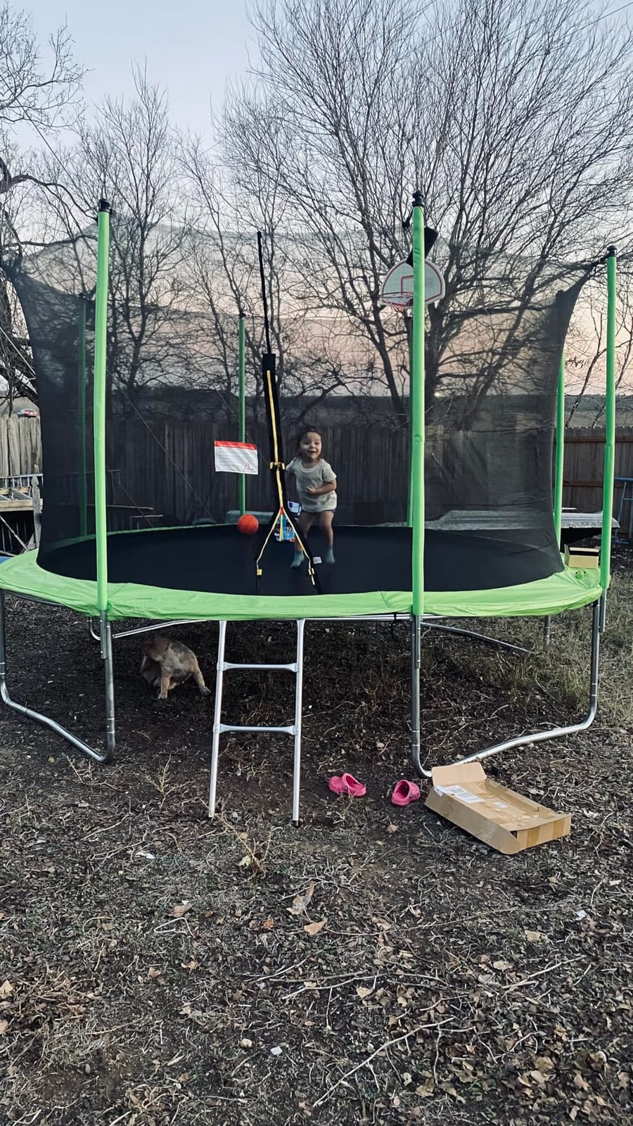 Lyromix Upgraded 16FT 15FT 14FT 12FT 10FT 8FT Trampoline Outdoor with Basketball Hoop and Net, Capacity for 4-6 Kids and Adults customer photo 1