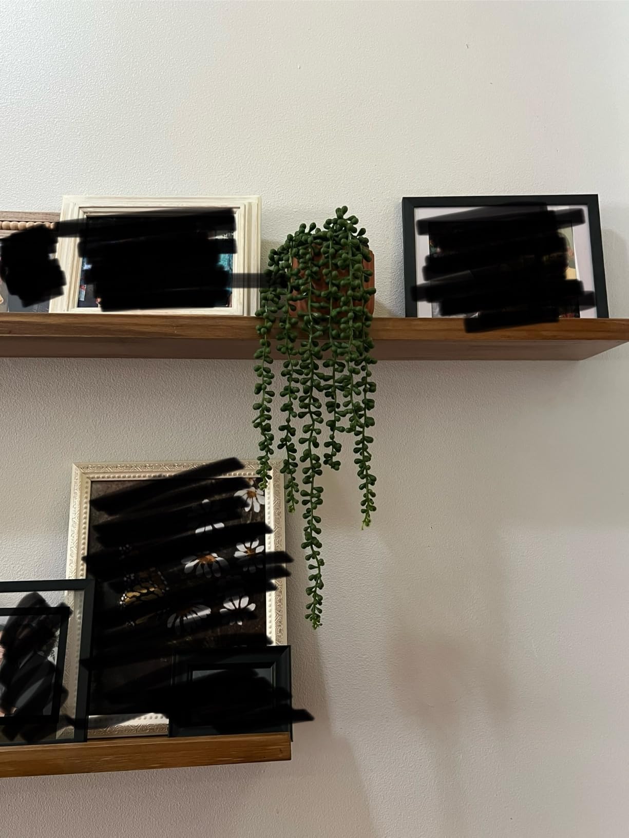Der Rose 4Pcs Fake Plants Hanging Artificial Ivy Vine Faux Eucalyptus Hanging Plants, Boston Fern, String of Pearls for Living Room Aesthetic Bedroom Boho Kitchen Wall Shelf Indoor Outdoor Decor customer photo 2
