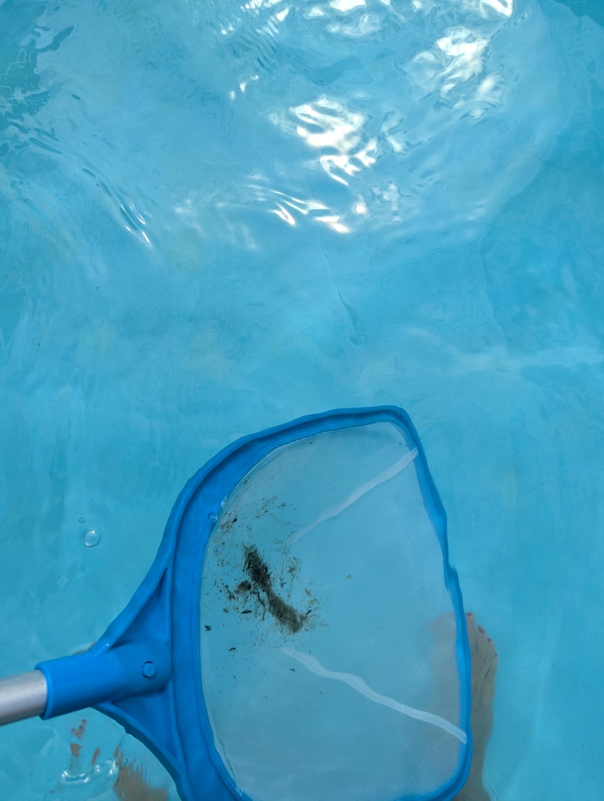 TidyMister Pool Skimmer Hot Tub Skimmer Spa Net with 12'' Aluminum Pole Ultra Fine Mesh Pool Net Accessories Leaf Skimmer for Small Pools Fine Debris customer photo 1