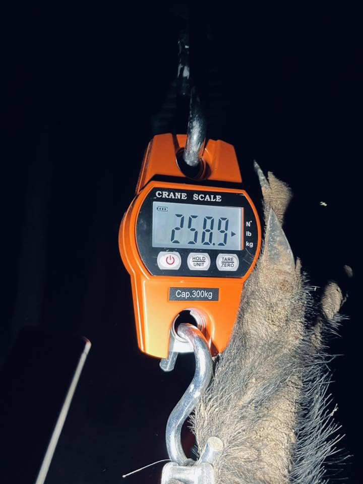 GRAM PRES Digital Hanging Crane Scale 660LB/300KG customer photo 2