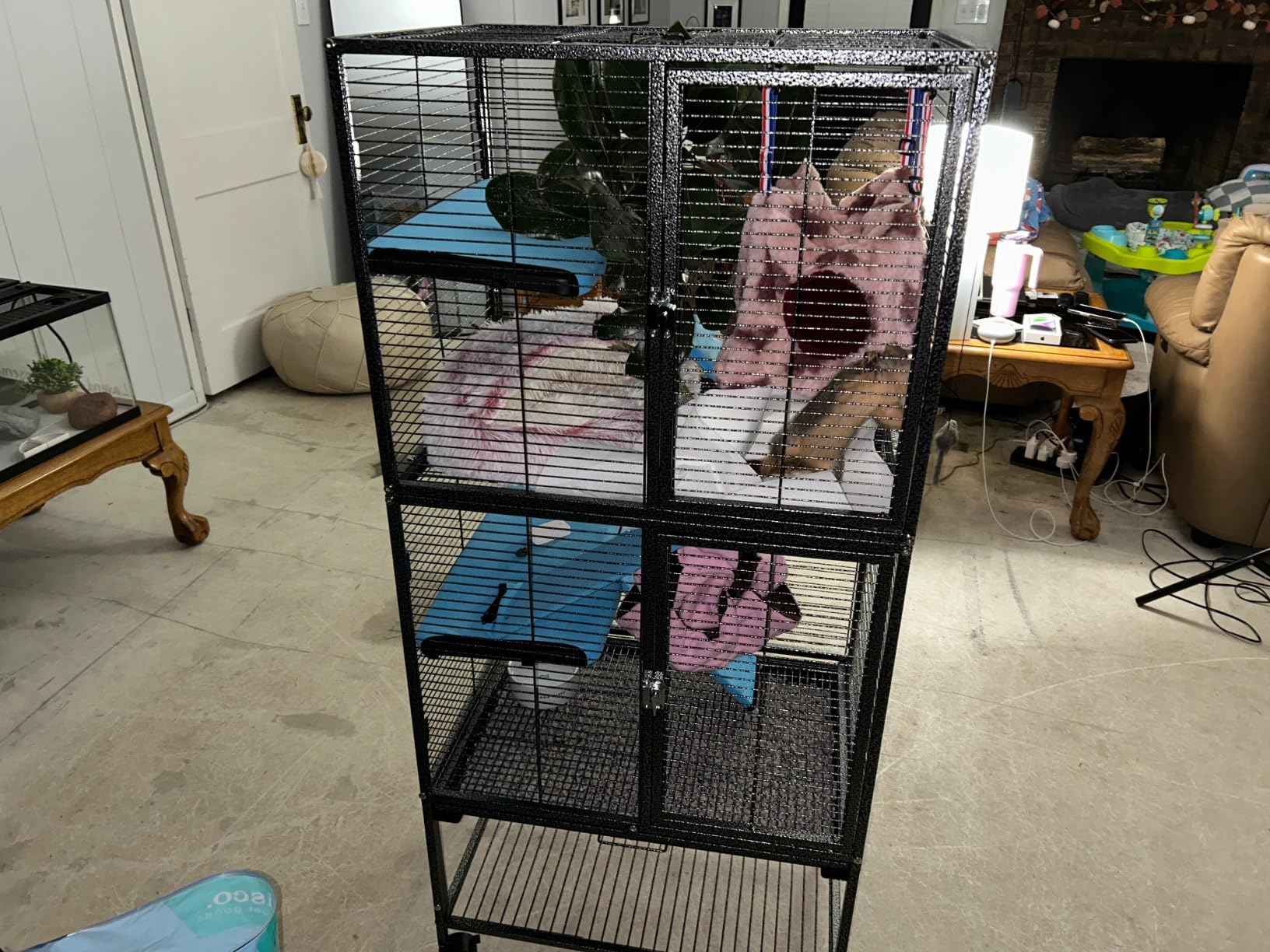 Large Two Full Story Deluxe Double Unit 4-Tiers Tight 1/2-Inch Bar Spacing Durable Front Doors Water Bottle Food Bowl for Feisty Ferret Squirrel Hammock Rat Gerbil Small Animal Critter Rolling Cage customer photo 1