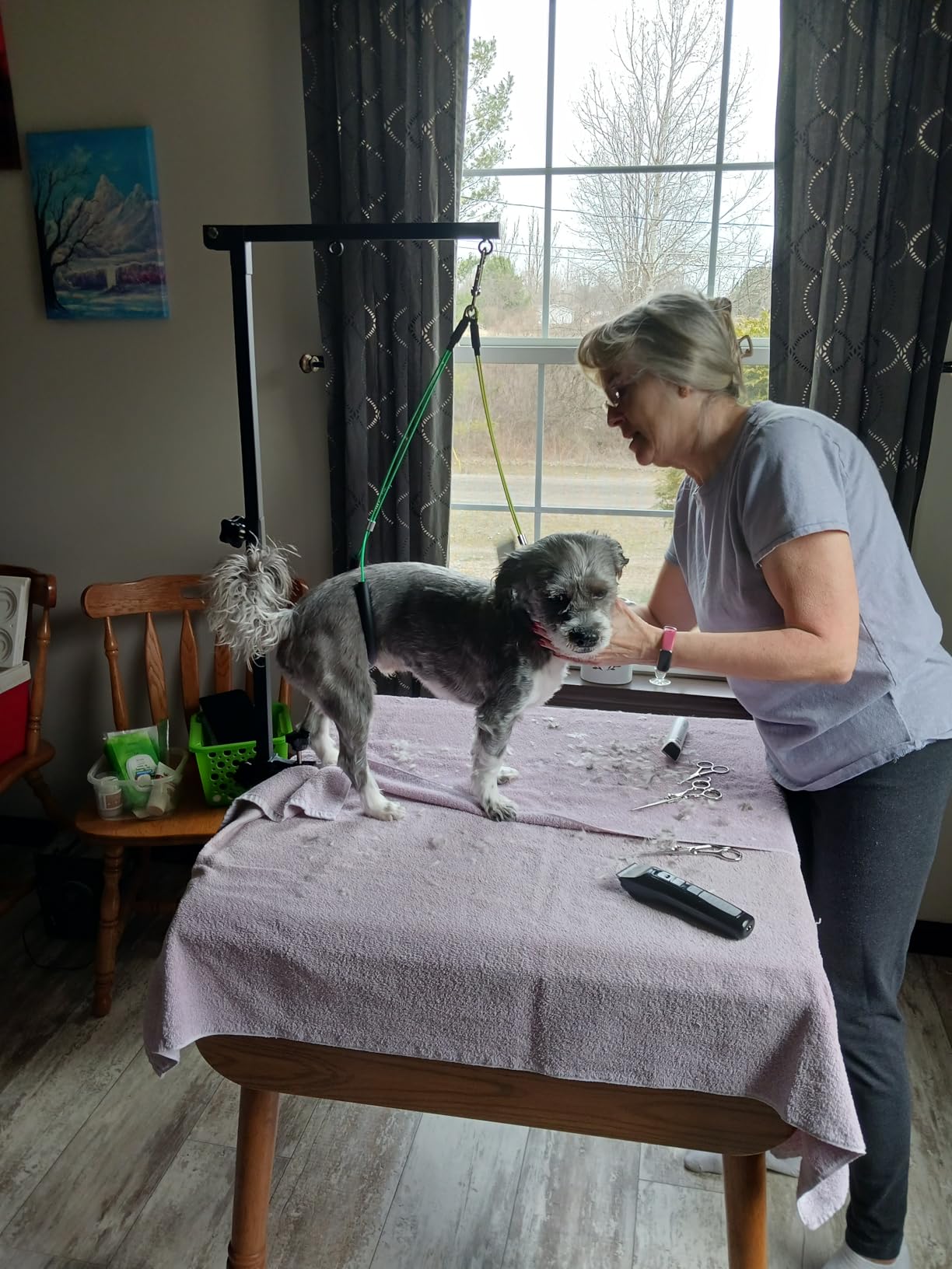 Dog Grooming Table Arm with Hammock, 35