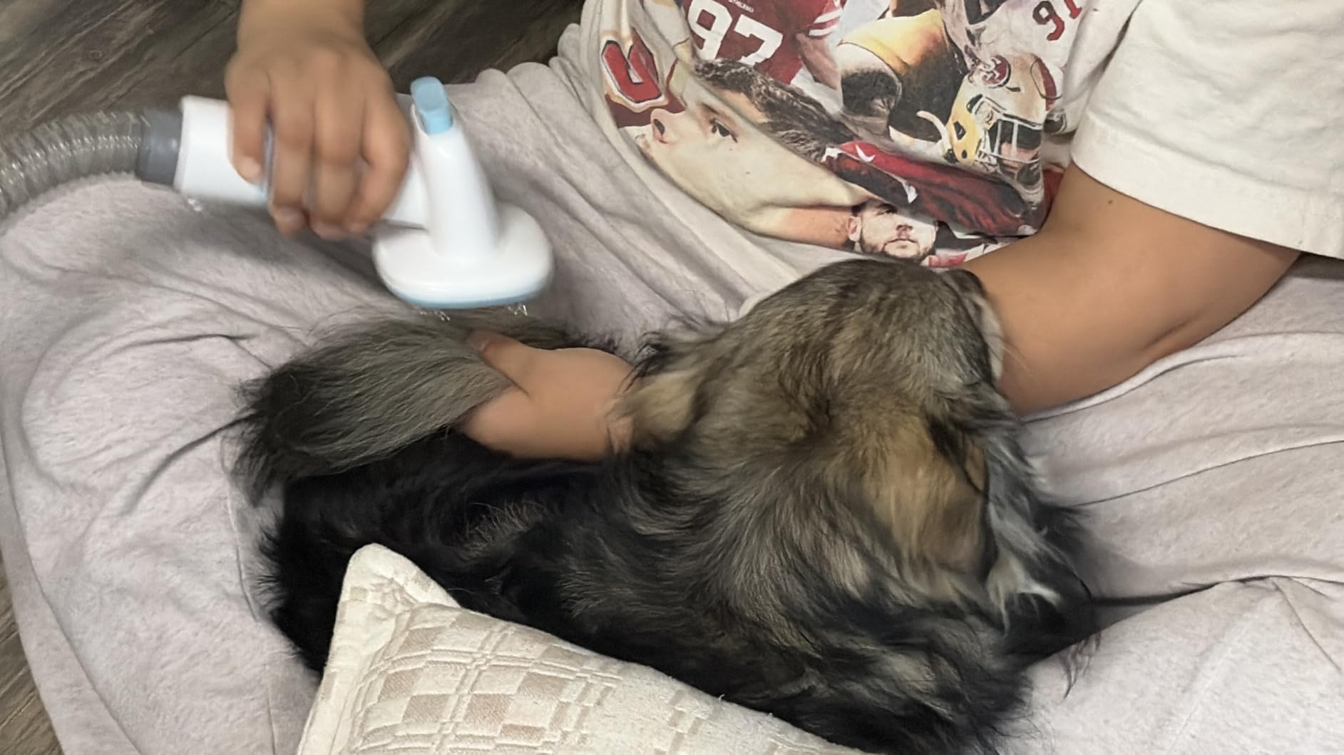 buenkee Dog Grooming Kit with Vacuum, 15000Pa Pet Hair Clipper and Shedding Brush, 2L Capacity, White customer photo 1