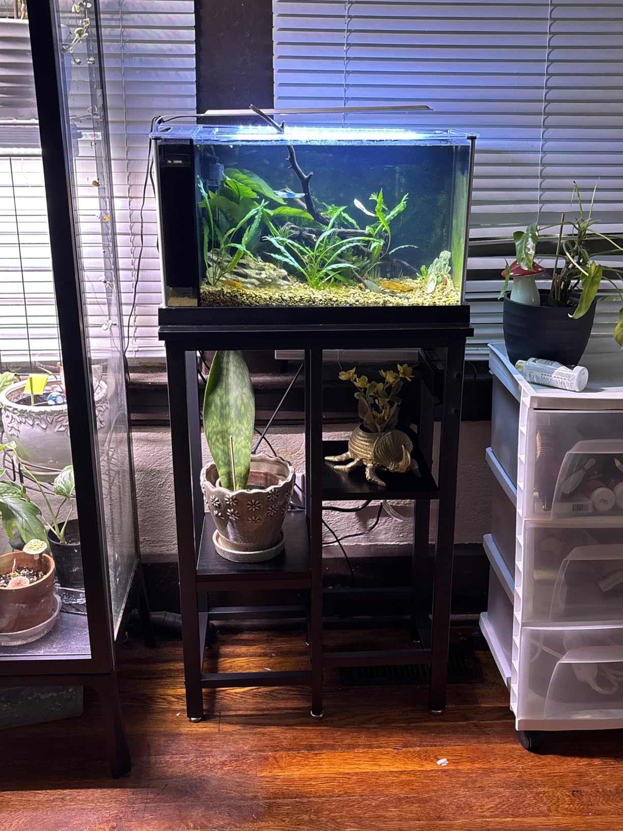 Bestier 40-50 Gallon Fish Tank Stand with Power Outlet, Rustic Brown, 36x19 | 6-Leg Steel Frame, 3-Tier Adjustable Shelves for Filters Storage, 660Lbs Capacity, 5-In-1 Power Outlet, 4 Leveling Feet customer photo 1