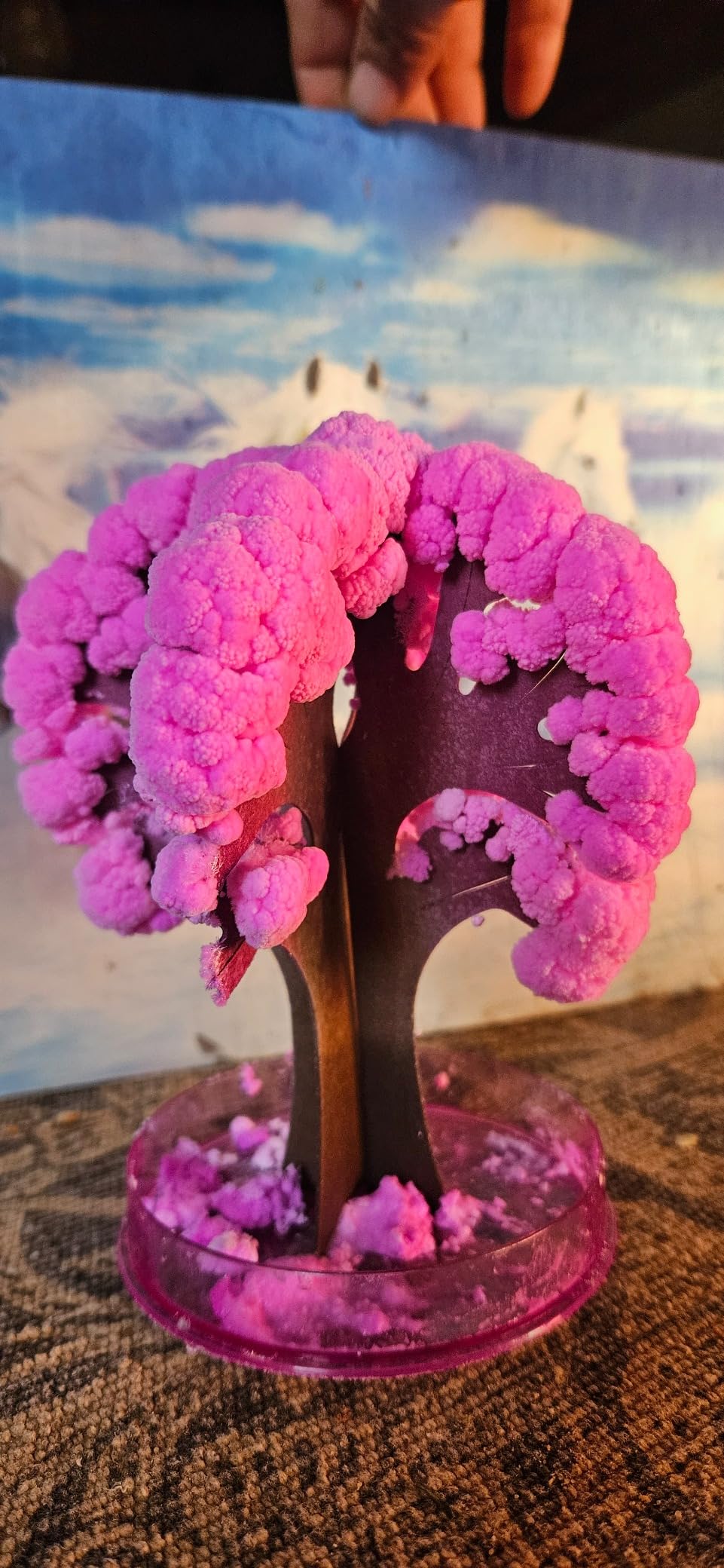 Klever Kits Amazing Science Kits- 85+ Experiments Educational Toys, STEM Activities with Erupting Volcano and Growing Crystal Tree for Kids Aged 6 7 8+ customer photo 1