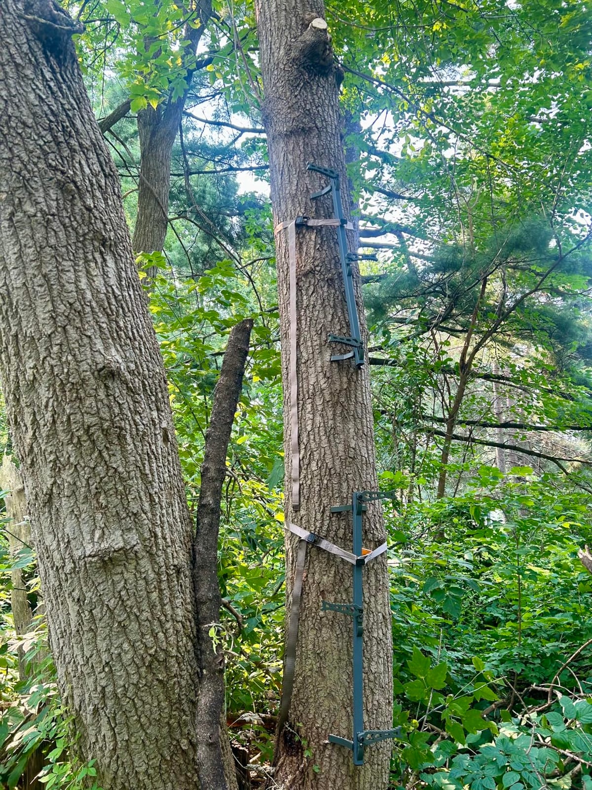 XOP Vanish Evolution - Cast Aluminum Hang On Tree Stand for Hunting - Deluxe Deer Stand customer photo 2