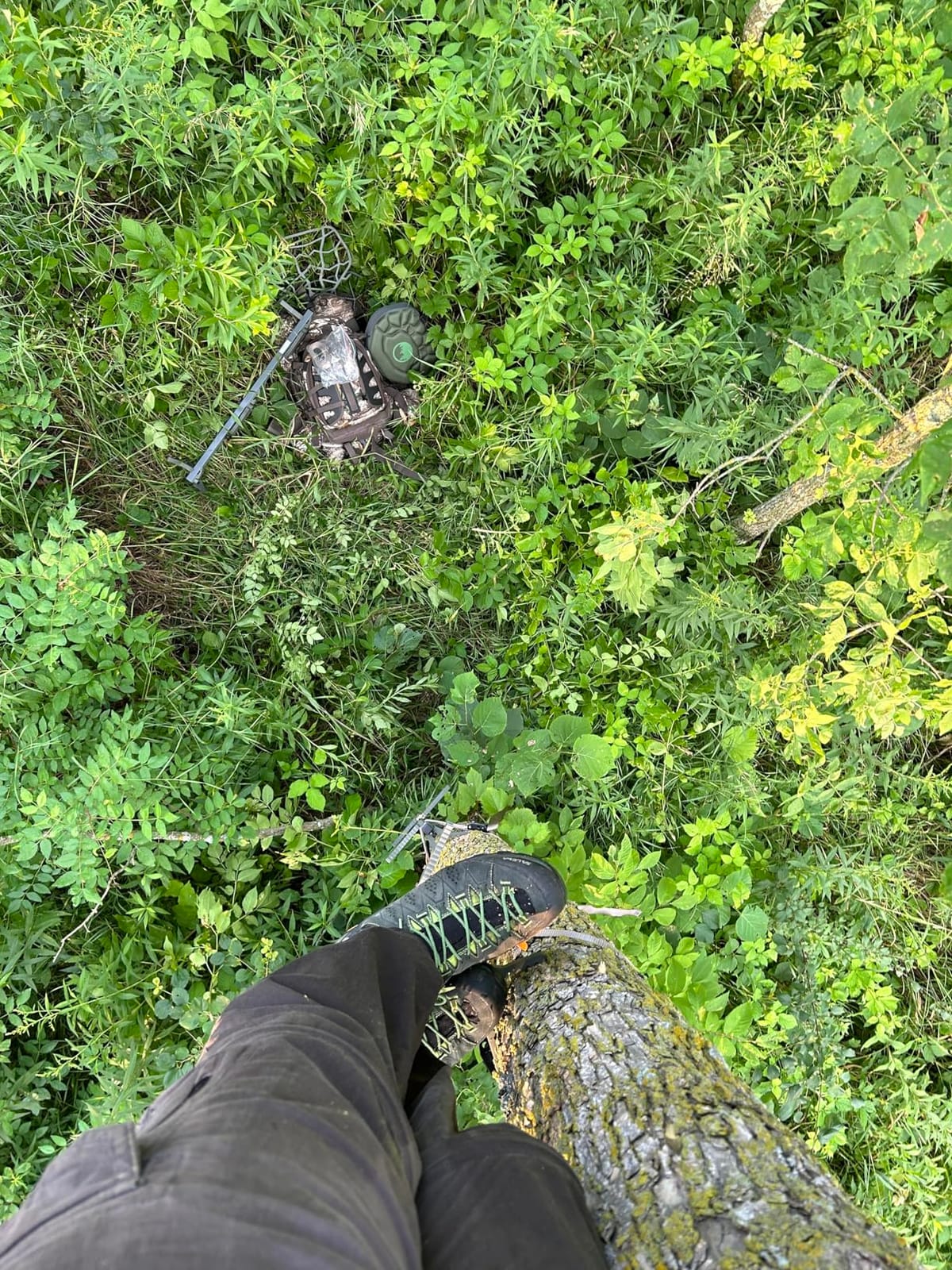 XOP 34 Inch Aluminum Climbing Sticks for Hunting - 3 Pack | Tree Steps for Hunting Treestands - Storm Grey w/XOP Green Steps customer photo 2