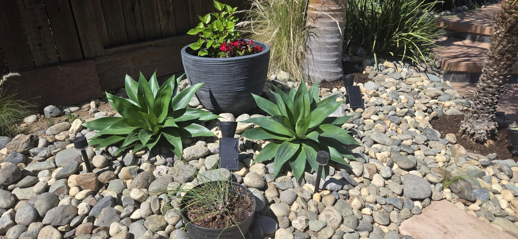 Ttranewsoo 28 Inch Artificial Agave Plants Outdoor Set of 2, Large Faux Succulent Plants for Indoor Home Decor, Realistic Fake Agave Greenery for Patio Porch Garden, UV Resistant Plants Without Pot customer photo 2