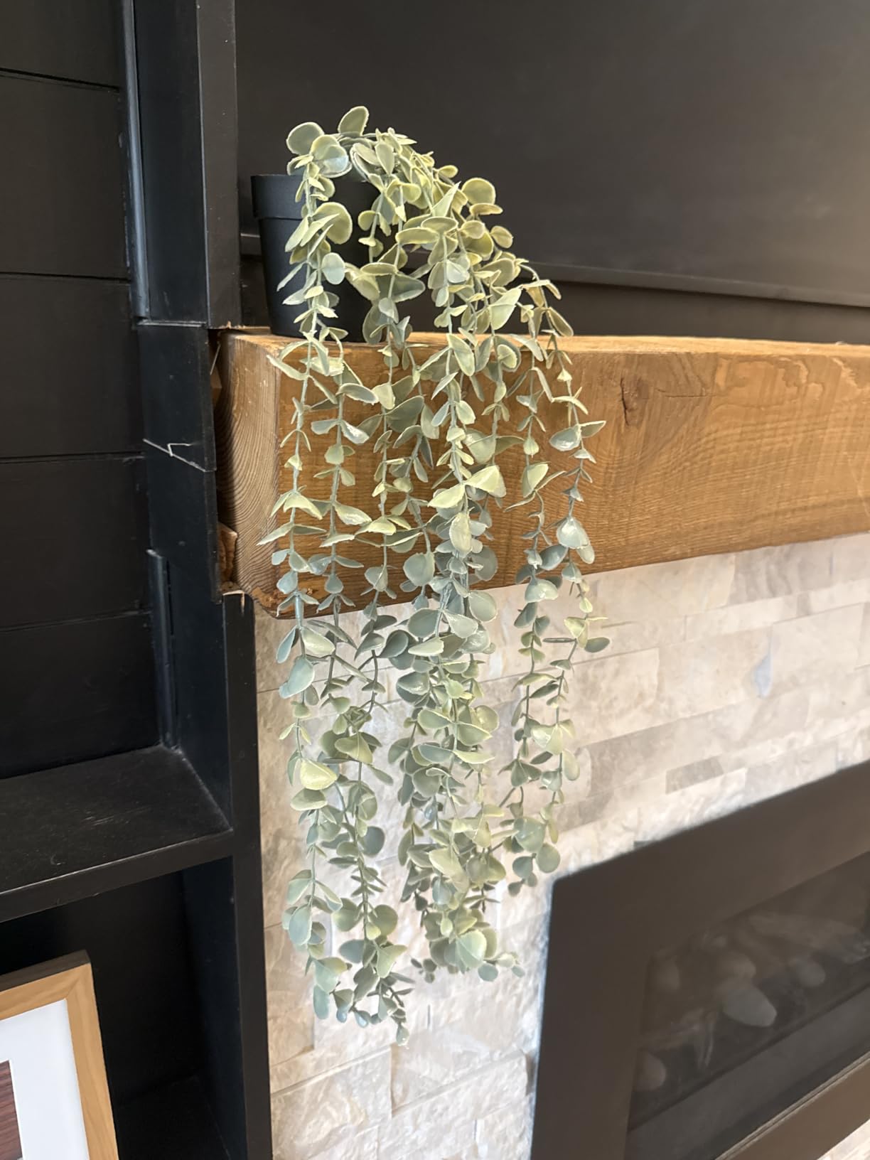 Der Rose 2Pcs Fake Hanging Plants with Black Pot, Boho Eucalyptus and Mandala Vine for Shelf Decor customer photo 1