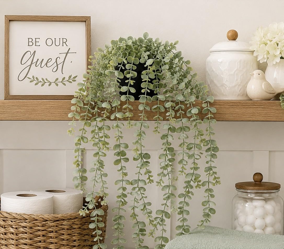 Der Rose 2Pcs Fake Hanging Plants with Black Pot, Boho Eucalyptus and Mandala Vine for Shelf Decor customer photo 2