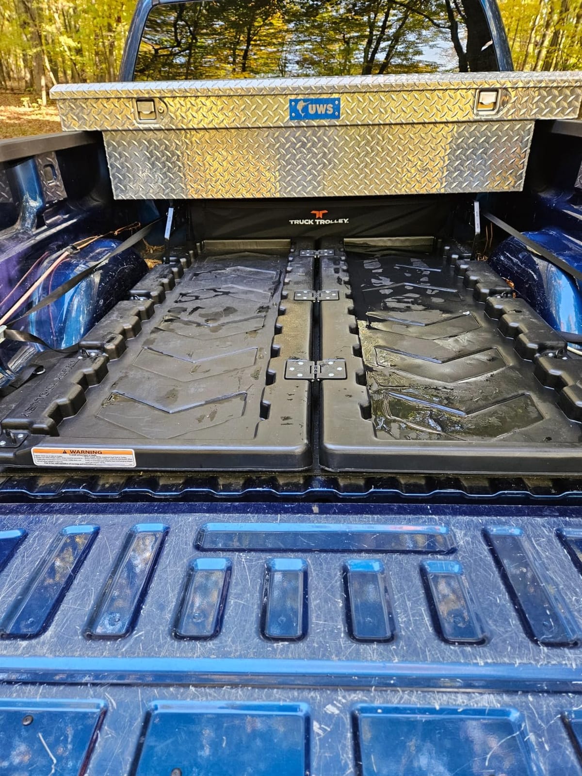 Truck Trolley Lightweight Truckbed Trolley System fits Any Full Size Pickup with D-Loops | 300 lbs Weight Rating | Easy Installation | Collapsible | L 62.5