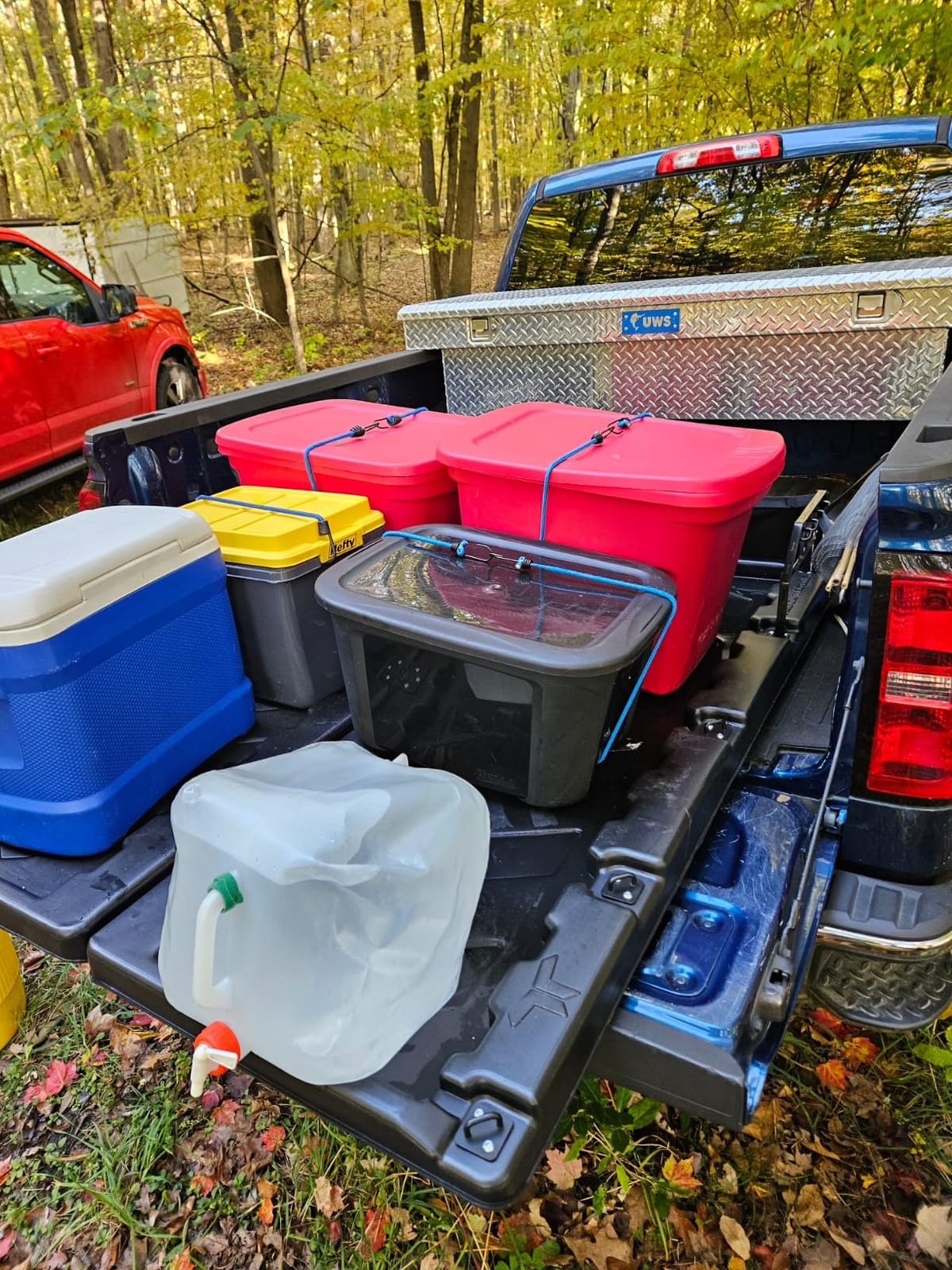 Truck Trolley Lightweight Truckbed Trolley System fits Any Full Size Pickup with D-Loops | 300 lbs Weight Rating | Easy Installation | Collapsible | L 62.5