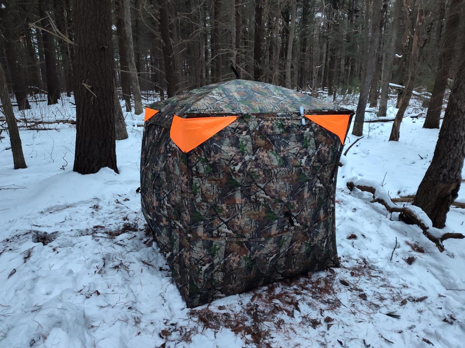 TIDEWE Hunting Blind 360 See Through, Pop Up Ground Blind with Large Door | Pop Up Tent with Large Door, Removable Curtain & Portable Carrying Bag, Quiet Sliding Windows for Deer Turkey Hunting customer photo 1