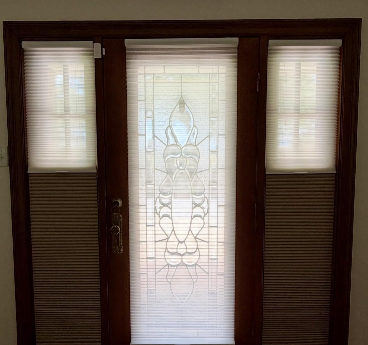 2-in-1 Day Night Cellular Shades Cordless, Top Down Bottom Up Double Honeycomb Blinds, Blackout and Light Filtering Pull Down Pleated Accordion Shades for Indoor Windows (Custom Size) customer photo 1