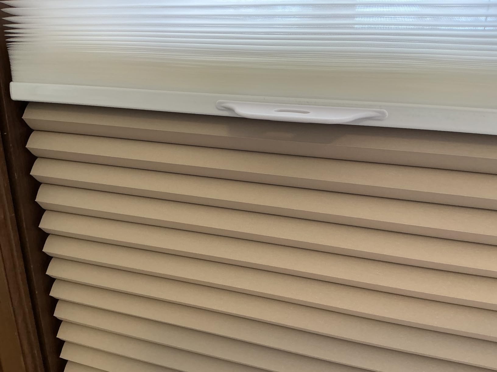 2-in-1 Day Night Cellular Shades Cordless, Top Down Bottom Up Double Honeycomb Blinds, Blackout and Light Filtering Pull Down Pleated Accordion Shades for Indoor Windows (Custom Size) customer photo 2