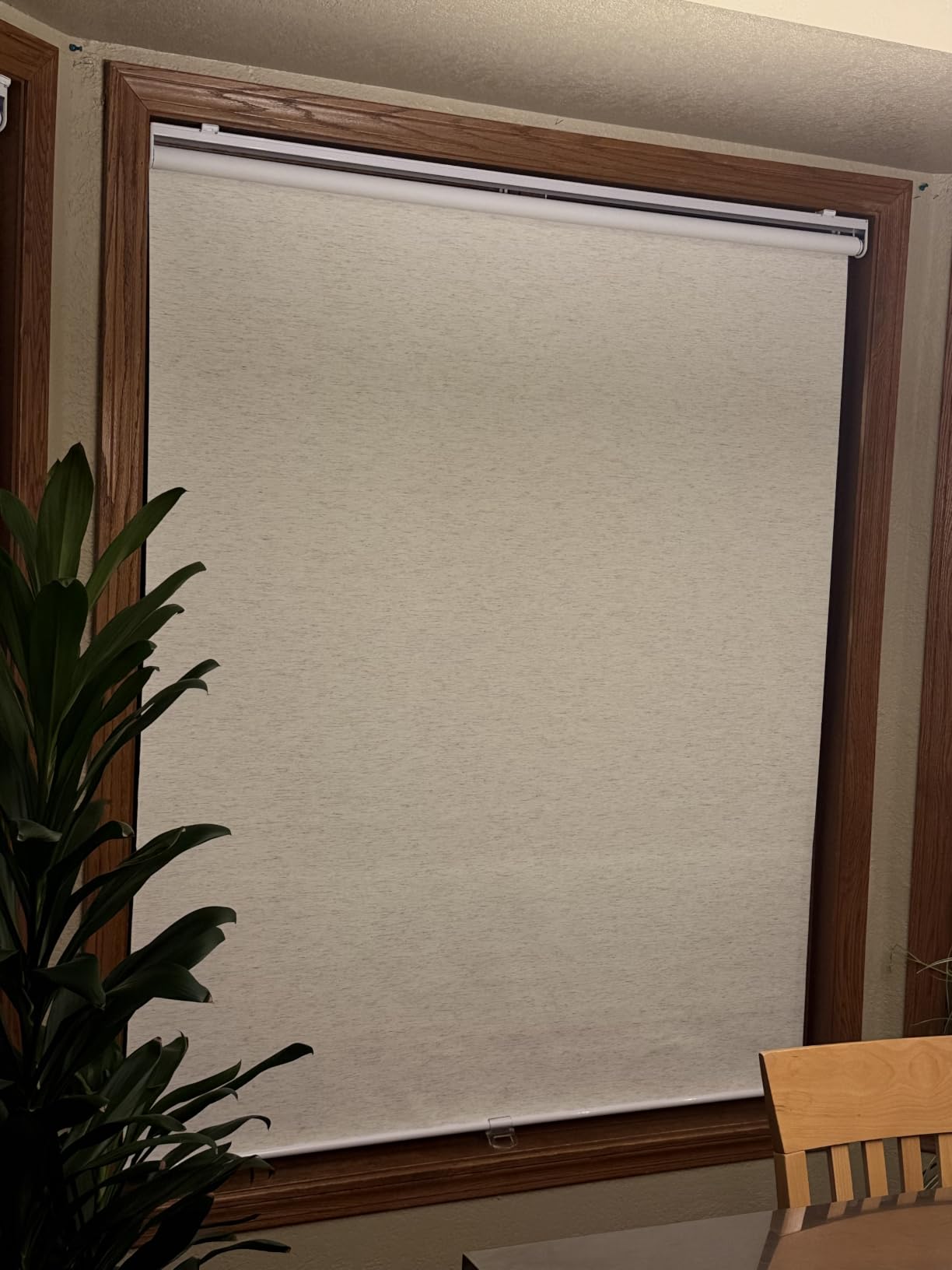 SUNOFF Blackout Cordless Roller Shades Blinds, 22