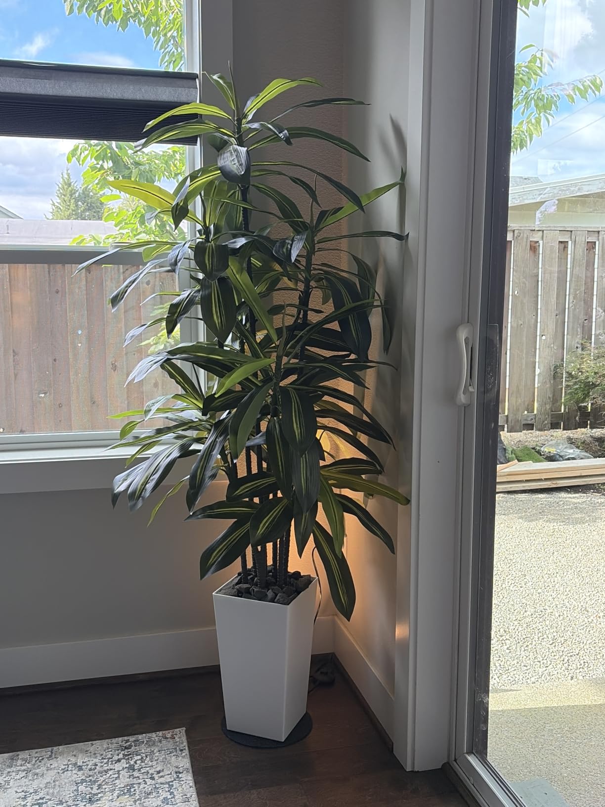 Artificial Dracaena Tree 5FT - Fake Tree with Black Tall Planter - Faux Yucca Tall Fake Floor Plant in Pot - Artificial Plant for Home Office Living Room Decor Indoor customer photo 1