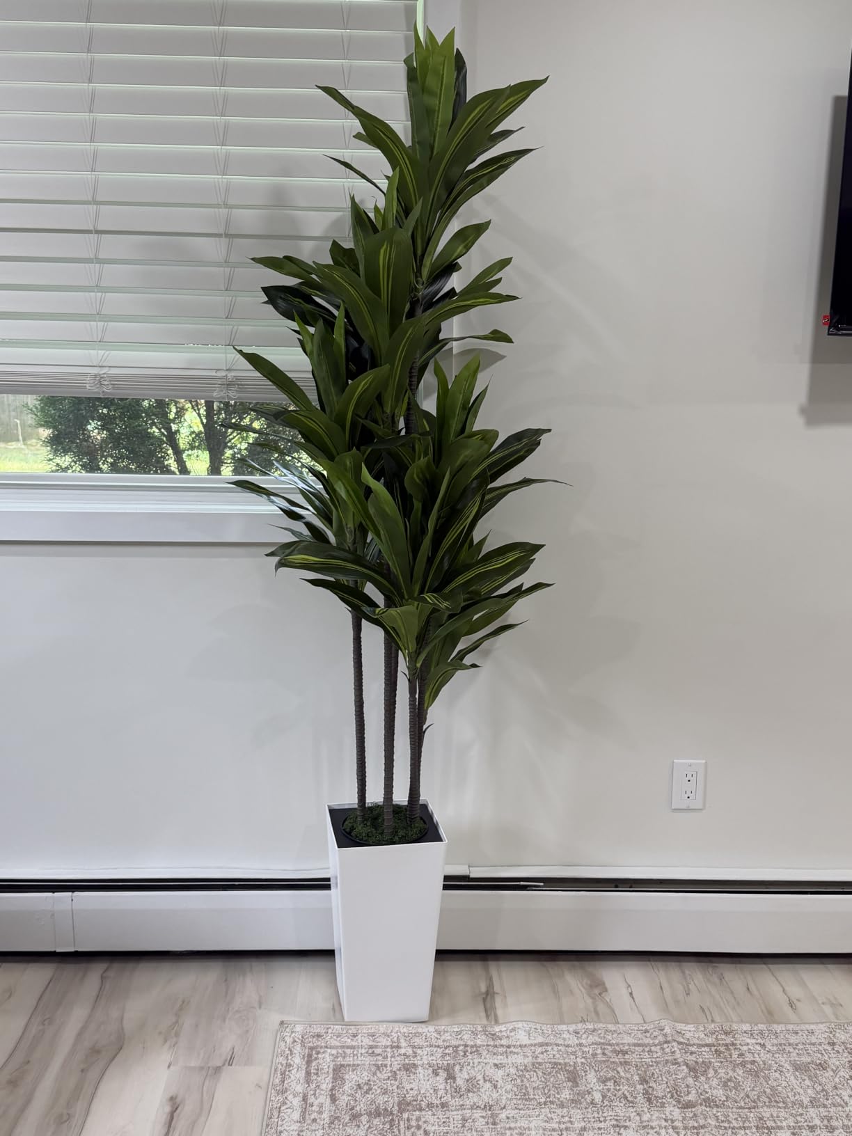 Artificial Dracaena Tree 5FT - Fake Tree with Black Tall Planter - Faux Yucca Tall Fake Floor Plant in Pot - Artificial Plant for Home Office Living Room Decor Indoor customer photo 2
